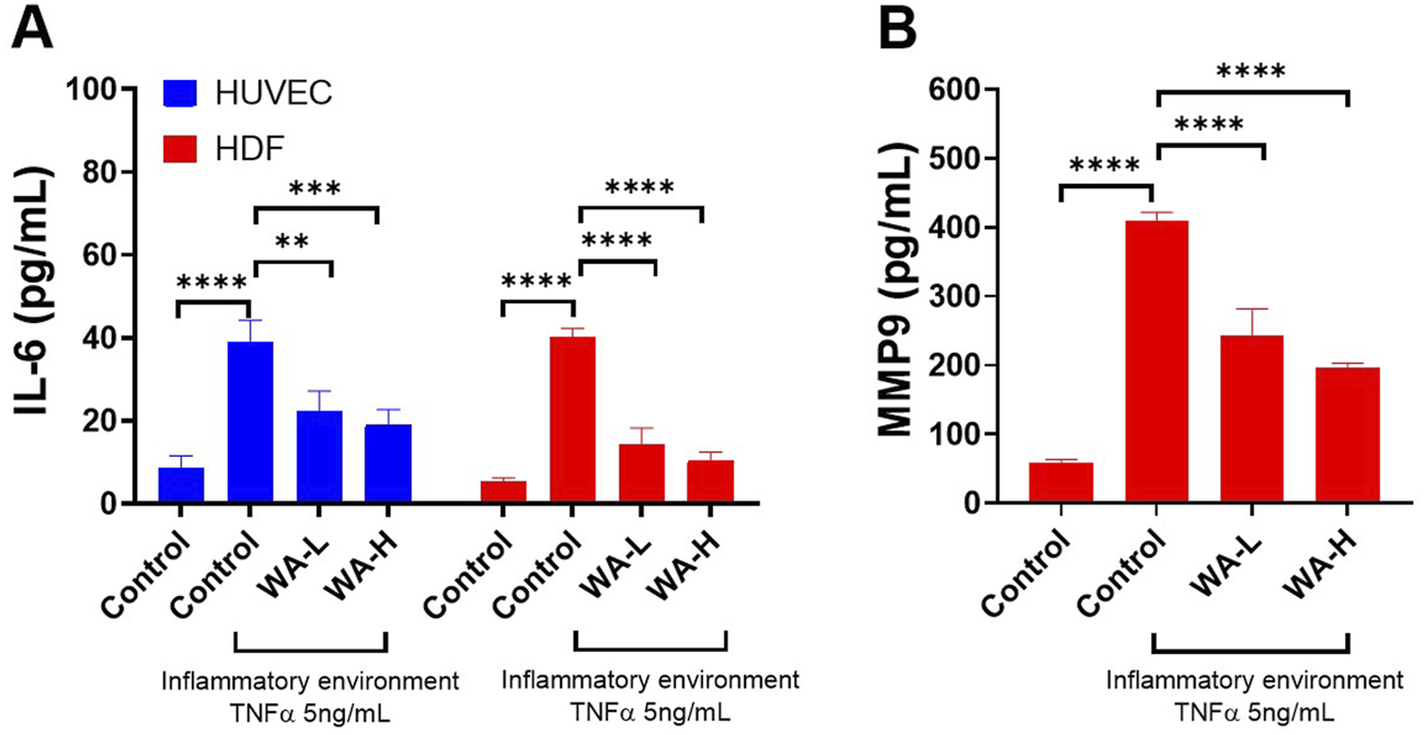 Bar charts depicting IL-6 and MMP9 levels in HUVEC and HDF cells. Chart A shows IL-6 levels, with blue bars for HUVEC and red for HDF. Chart B shows MMP9 levels, with red bars. Both charts detail control, WA-L, and WA-H conditions, highlighting significant differences marked by asterisks. Data is presented in an inflammatory environment with TNF-alpha at five nanograms per milliliter.