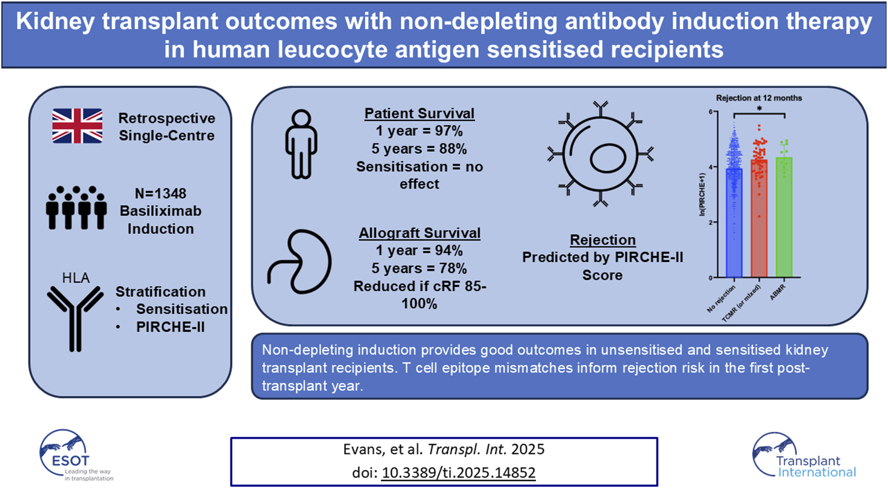 Kidney transplant outcomes chart for non-depleting antibody induction in HLA sensitized recipients. Includes retrospective single-centre study in the UK with 1,348 patients under Basiliximab induction. Patient survival: 97% at 1 year, 88% at 5 years; allograft survival: 94% at 1 year, 78% at 5 years, reduced if CRF 85-100%. Sensitisation showed no effect on patient survival. Rejection rates at 12 months are predicted by PIRCHE-II Score, with a bar graph displaying rejection categorized as no rejection, TCMR, or AMR. Chart emphasizes good outcomes with non-depleting induction. Article by Evans et al. in Transplant International 2025.