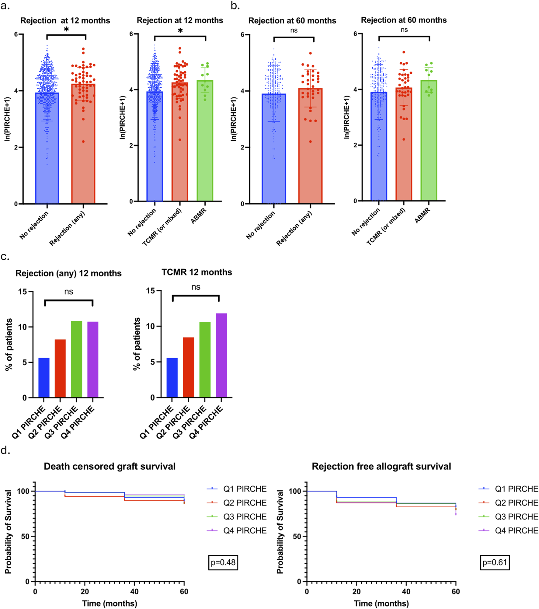 Four-panel chart on transplant rejection and survival. Panel a shows bar charts of ln(PIRCHE+1) values for rejection at 12 months, differentiating between no rejection, any rejection, TCMR or mixed, and ABMR groups, with significant differences marked by asterisks. Panel b displays similar data for 60 months with no significant differences. Panel c illustrates bar graphs of the percentage of patients experiencing rejection within 12 months across different PIRCHE quartiles, showing no significant differences. Panel d presents survival curves comparing death-censored and rejection-free allograft survival over 60 months, with no significant differences indicated.