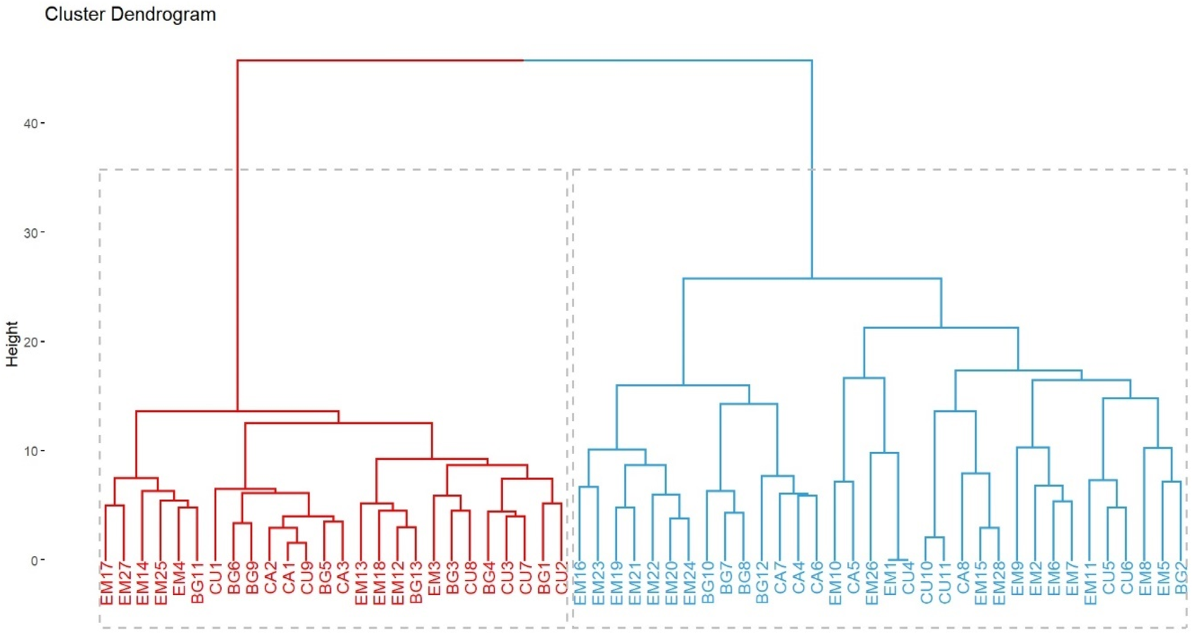 Cluster dendrogram displaying hierarchical relationships among samples. Two main clusters are shown, one in red and one in blue, each branching into subclusters. Height on the y-axis indicates level of similarity.