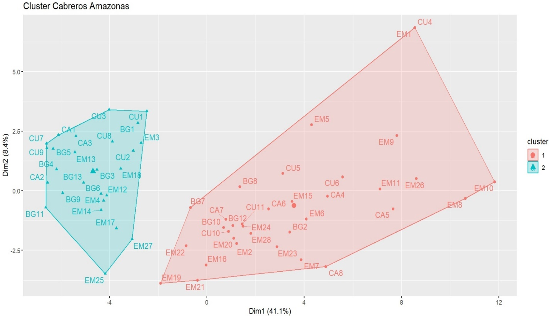 Scatter plot titled "Cluster Cabreros Amazonas" showing two clusters. Cluster 1 is represented by red points within a red convex hull on the right, and Cluster 2 by teal triangles within a teal convex hull on the left. The x-axis is labeled "Dim1 (41.1%)" and the y-axis "Dim2 (8.4%)".
