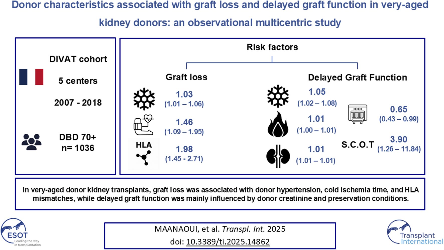 Chart showing donor characteristics linked to graft loss and delayed graft function in older kidney donors. Based on the DIVAT cohort from five French centers (2007-2018) with 1,036 donors aged 70+. Risk factors for graft loss include donor hypertension, cold ischemia time, and HLA mismatches. Delayed graft function is influenced by donor creatinine, cold ischemia time, and preservation conditions. Study by Maanaoui et al. in Transplant International.