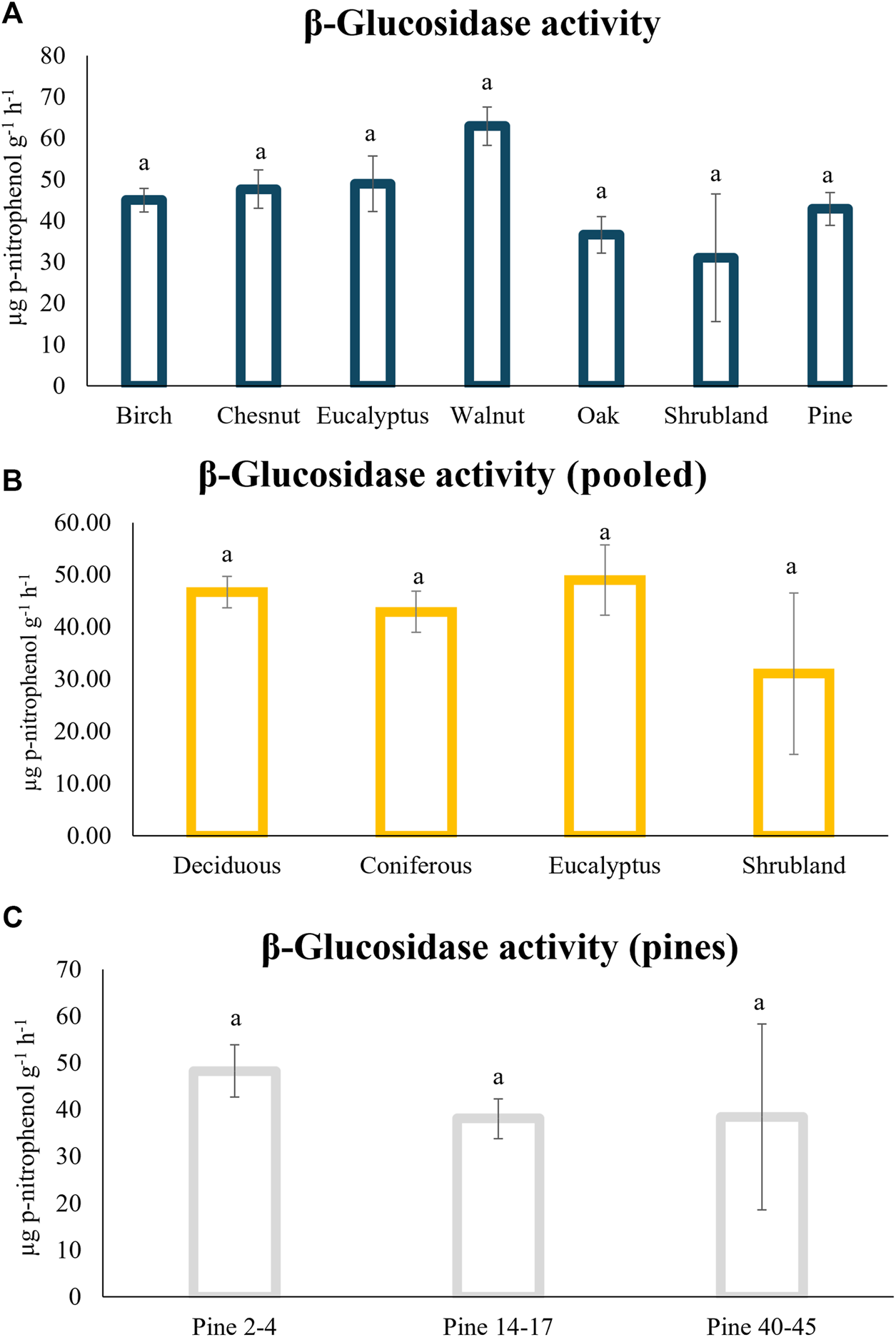 Three bar graphs depict B-glucosidade activity. A) Shows this soil enzimatic activity under differetn plant types: birch, chestnut, eucalyptus, walnut, oak, shrubland and pine. B) Pooled data fot this soil enzimatic activity under decideous trees, coniferous, eucalytus and shrubland. C) Activity in sopils under pine with different ages (2–4, 14–17 and 40–45). Error bars indicate standar error, and there is no significant difference between them.