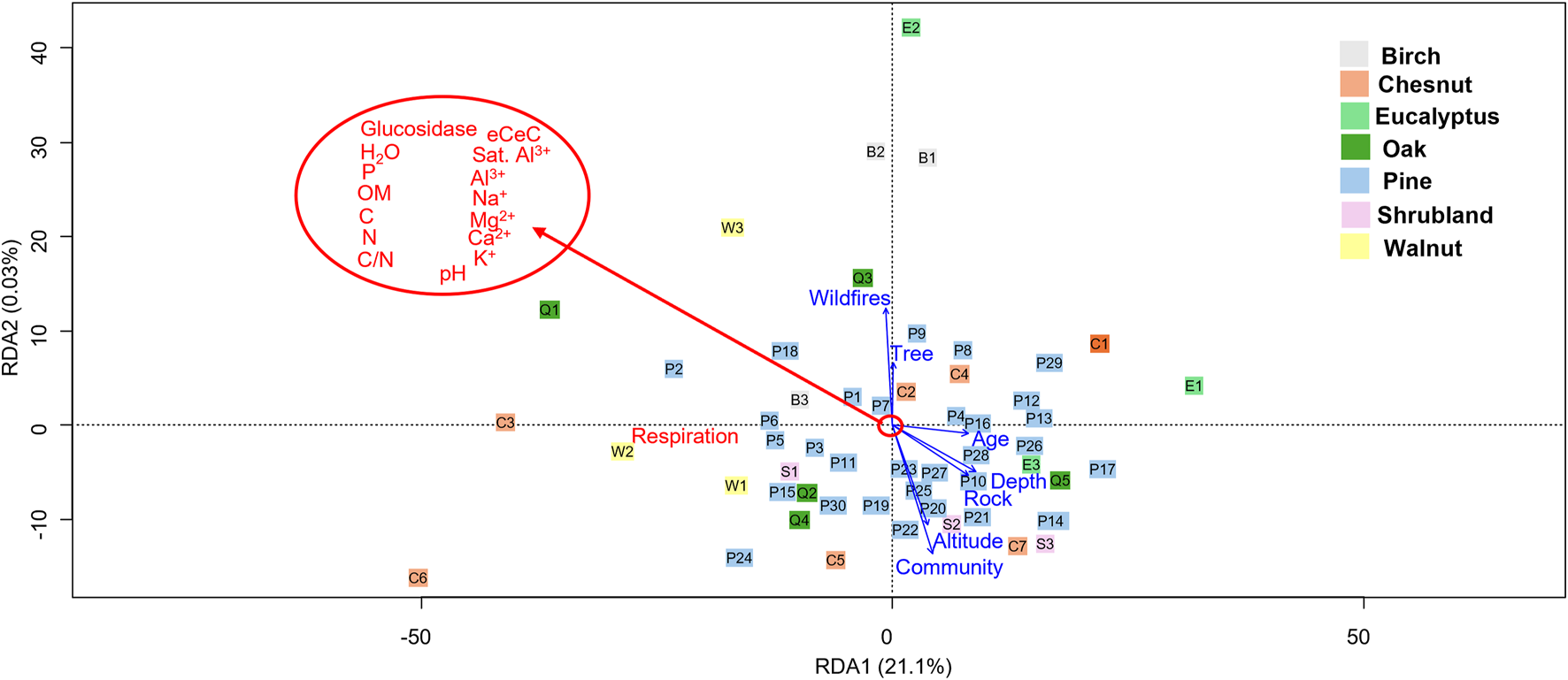 Ordination plot depicting RDA analysis. The variable that has a bigger imnapct is the soil respiration. The soil physicochemical and biological paremates with a smaller impact are with a red circle. Data points are labelled according trhe tree specie: B (Birch), C (chestnut), E (eucalyptus), Q (oak), P (pine), S (shrubland) and W (walnut). The blue arrows indicate the environmental factors (wildfire events, stand age, soil depth, tree specie, rocl type altitude and Forest community.