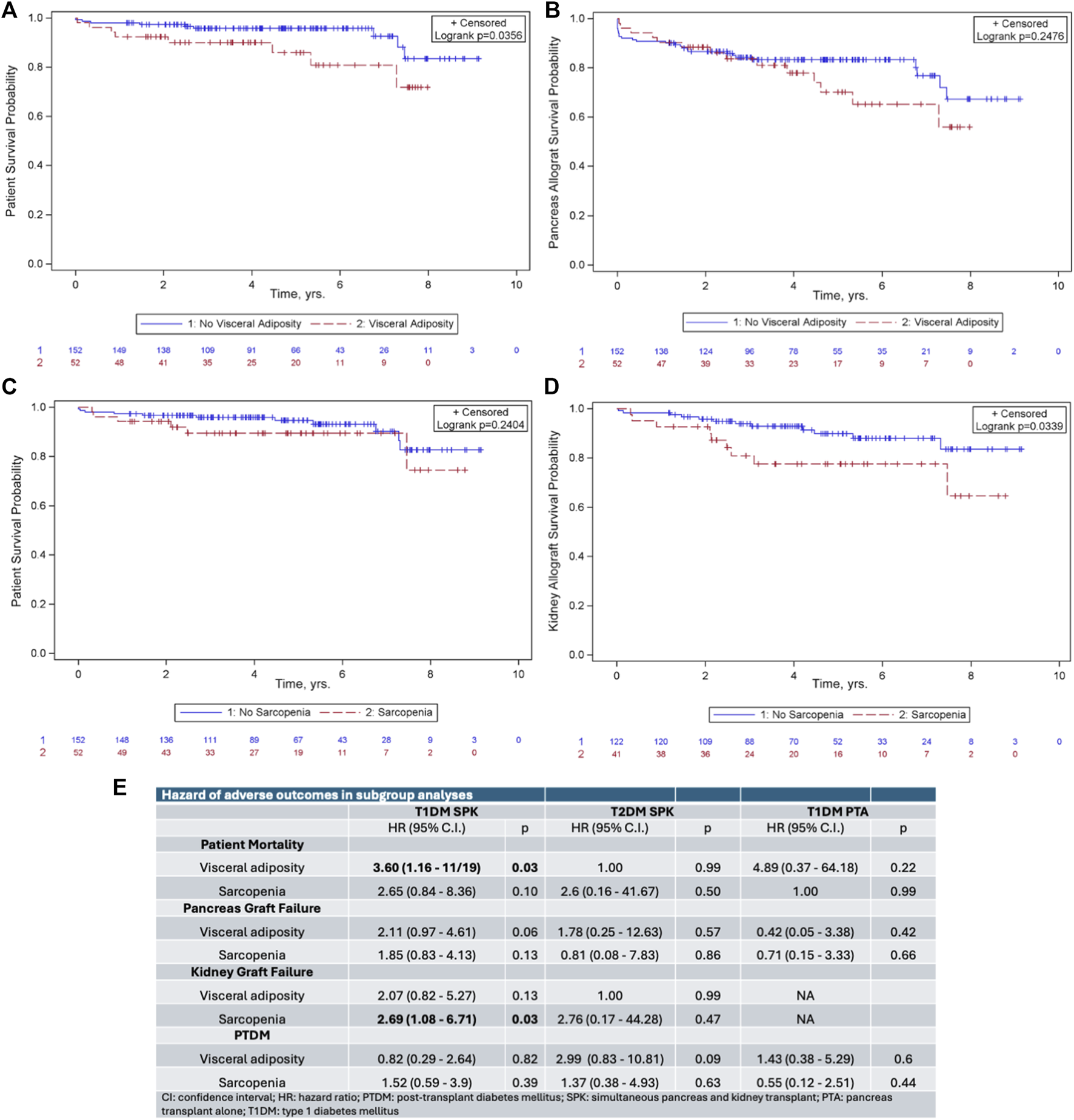 Four Kaplan-Meier survival curves labeled A through D show patient and graft survival probabilities over ten years, comparing groups with and without visceral adiposity or sarcopenia. Graph A illustrates patient survival with a log-rank p-value of 0.0356, while B presents pancreas allograft survival with a p-value of 0.2476. C demonstrates patient survival concerning sarcopenia with a p-value of 0.2040, and D displays kidney allograft survival with a p-value of 0.0339. Image E is a table listing hazard ratios for adverse outcomes stratified by conditions and surgeries, including T1DM SPK, T2DM SPK, and T1DM PTA.