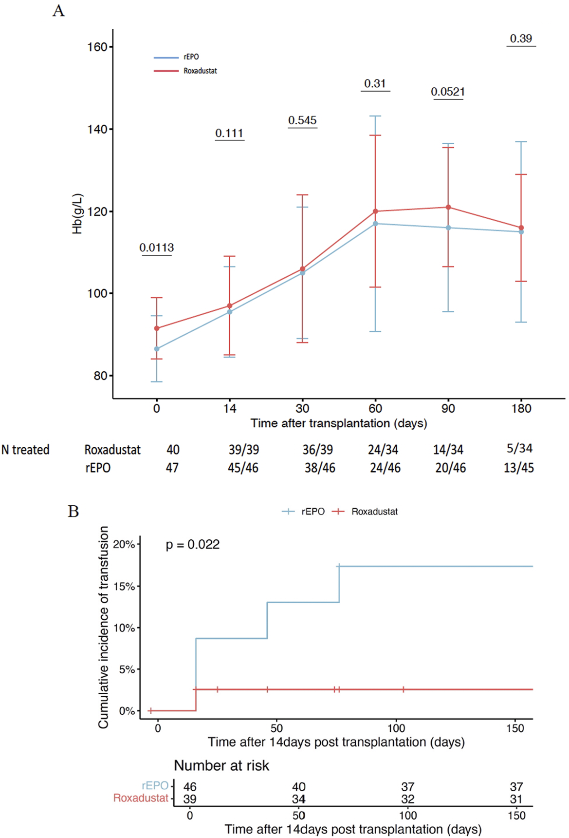 Graph illustrating the comparison between rEPO and Roxadustat treatments after transplantation. Panel A shows hemoglobin levels (Hb) over time, with both treatments increasing Hb levels similarly, marked with p-values indicating significance at various intervals. Panel B displays the cumulative incidence of transfusion over time, with a higher incidence in the rEPO group, noted by p-value 0.022. The number at risk is indicated below each graph for both treatments at different time points.