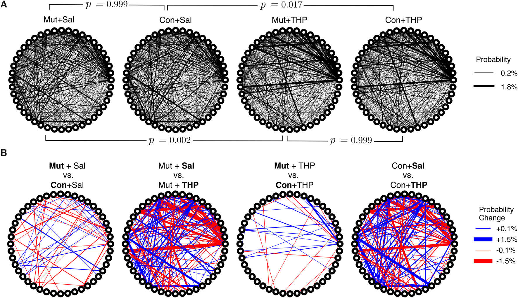 Four circle network diagrams show connectivity changes under different conditions. Top row (A) diagrams display connections with varying line thickness for probabilities from 0.2% to 1.8%, labeled for different combinations such as Mut+Sal, Con+Sal, Mut+THP, and Con+THP, with significance values. Bottom row (B) uses colored lines (blue and red) to indicate probability changes from -1.5% to +1.5% across the same condition combinations, showing comparisons between different treatment groups.