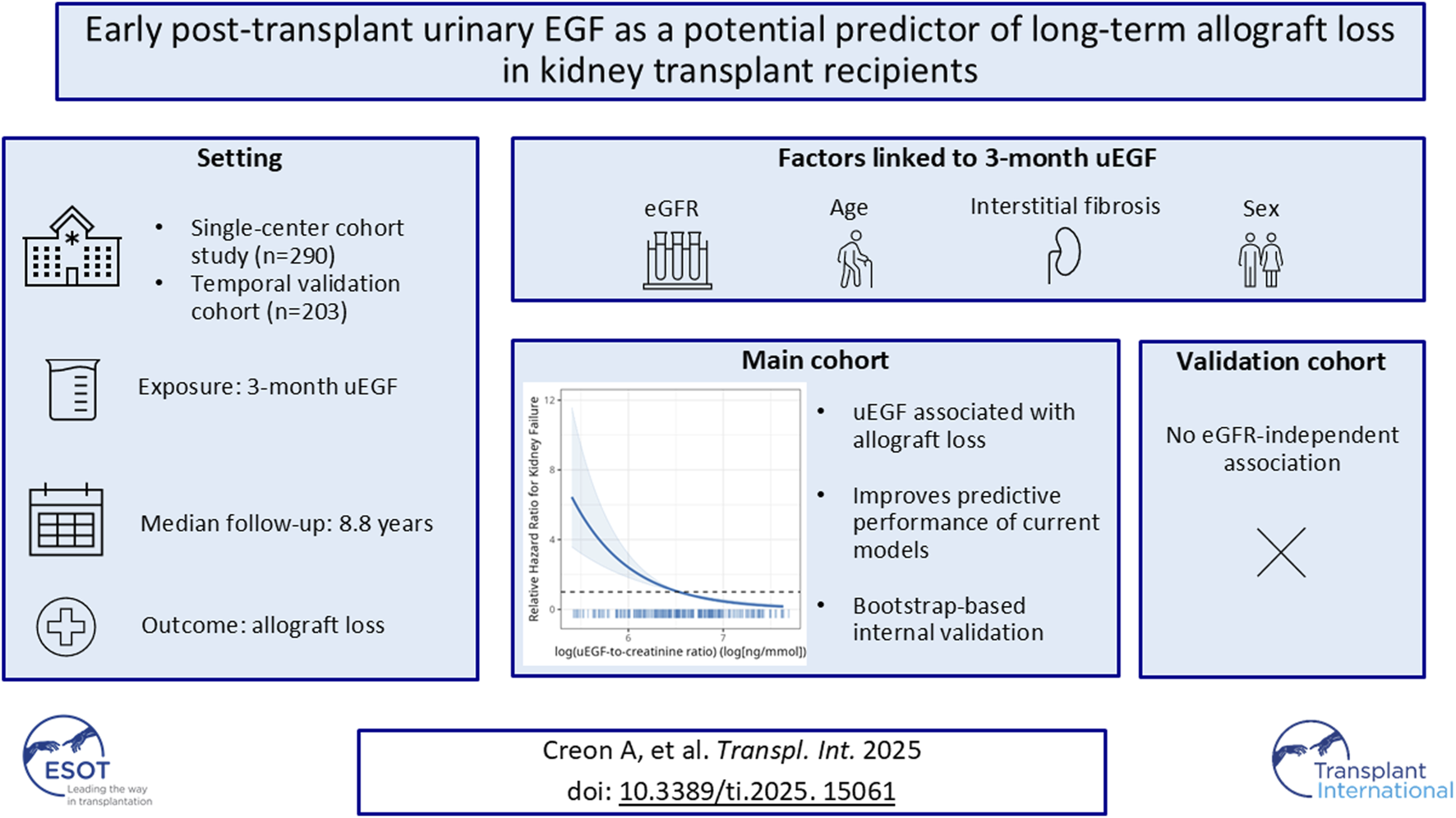 A study explores early post-transplant urinary EGF as a predictor of kidney transplant recipients' long-term allograft loss. The setting involves a single-center cohort and temporal validation cohort with 290 and 203 participants, respectively. Factors linked to three-month uEGF include eGFR, age, interstitial fibrosis, and sex. The main cohort shows uEGF association with allograft loss, enhancing prediction models with bootstrap validation. The validation cohort shows no eGFR-independent association. A graph displays the log uEGF-to-creatinine ratio versus relative hazard ratio for kidney failure. Study by Creon A., published in Transplant International 2025.