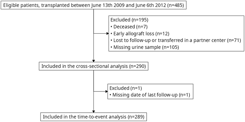Flowchart of patient selection for analysis. Eligible patients (n=485) were transplanted between June 13, 2009, and June 6, 2012. Exclusions: 195 patients (deceased 7, early allograft loss 12, lost to follow-up or transferred 71, missing urine sample 105). Included in cross-sectional analysis: 290 patients. Excluded from cross-sectional analysis: 1 patient (missing date of last follow-up). Included in time-to-event analysis: 289 patients.
