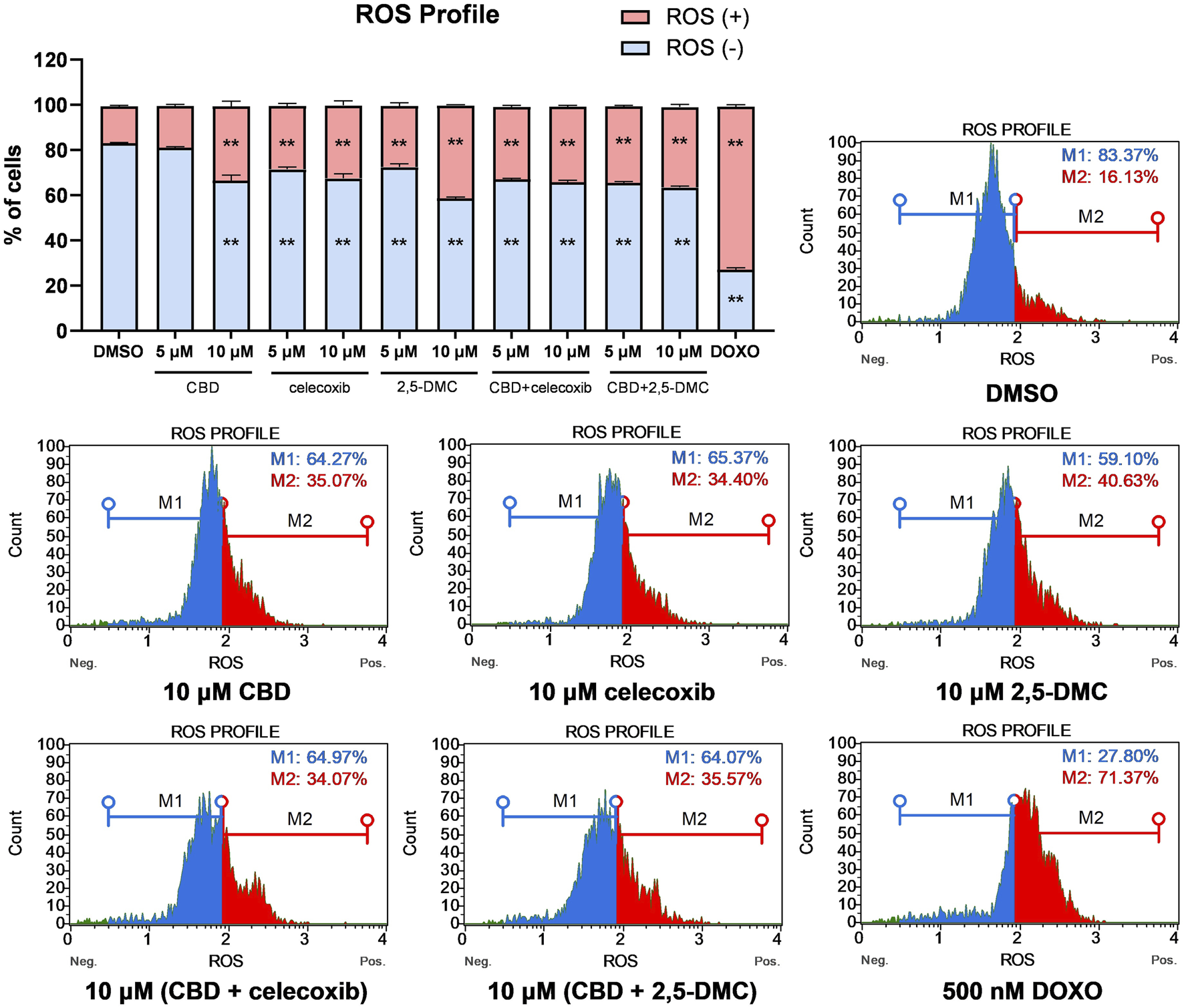 Bar and histogram charts show the reactive oxygen species (ROS) profile under different treatments. The bar chart compares the percentage of cells with ROS positive and negative states across various concentrations of CBD, celecoxib, 2,5-DMC, and their combinations, including DOXO as a control. The histograms display the distribution of ROS in treated cells, highlighting M1 and M2 regions with corresponding percentages for each treatment. Significant differences are noted with asterisks in the bar chart.