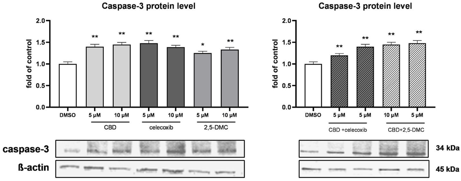 Bar graphs display caspase-3 protein levels as a fold of control under different treatments: CBD, celecoxib, and 2,5-DMC, with concentrations of five and ten micromolar. The left graph shows individual treatments, while the right graph shows combinations. Error bars indicate variability, and asterisks denote significance. Below the graphs are Western blot images for caspase-3 and β-actin, labeled with molecular weights of 34 and 45 kilodaltons, respectively.