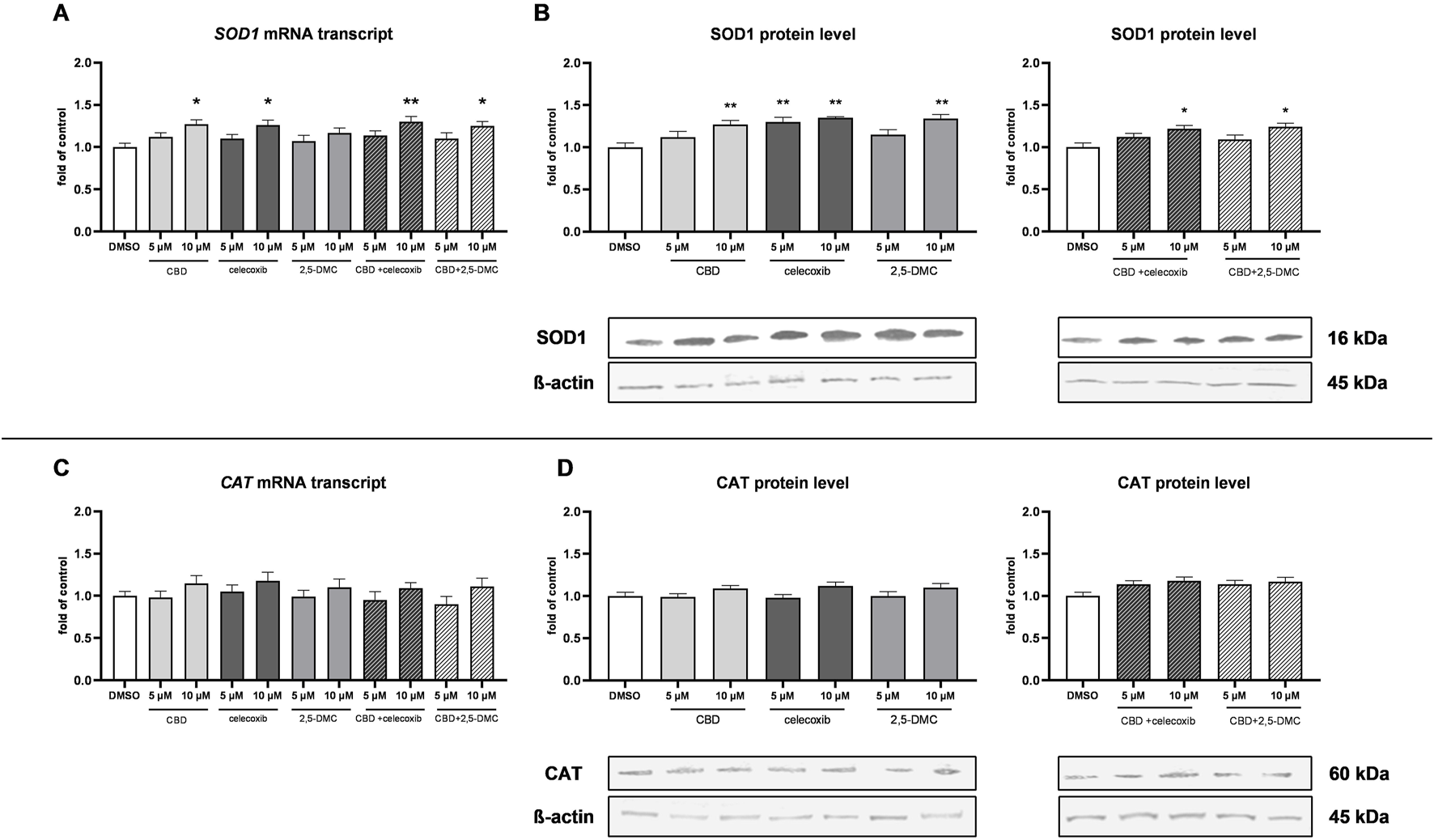 Bar graphs and western blot analyses display the effects of CBD, celecoxib, and 2,5-DMC on SOD1 and CAT expression and protein levels. Panels A and B show SOD1 mRNA and protein levels, respectively, with comparisons among DMSO, CBD, celecoxib, and combinations. Panels C and D present CAT mRNA and protein levels. Statistical significance is noted with asterisks.