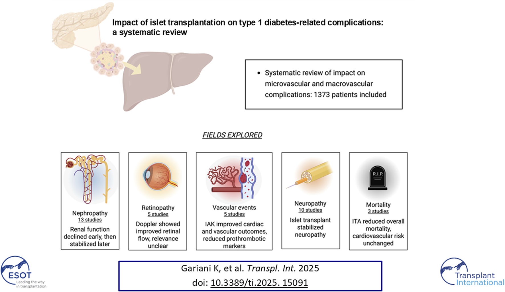 Systematic review graphic on islet transplantation's impact on type 1 diabetes complications, featuring 1,373 patients. Fields explored include nephropathy (13 studies), retinopathy (5 studies), vascular events (5 studies), neuropathy (10 studies), and mortality (3 studies). Nephropathy shows early renal function decline, retinopathy indicates unclear relevance, vascular events note improved markers, neuropathy reports stabilization, and mortality finds reduced overall mortality with unchanged cardiovascular risk. Published in Transplant International, 2025.