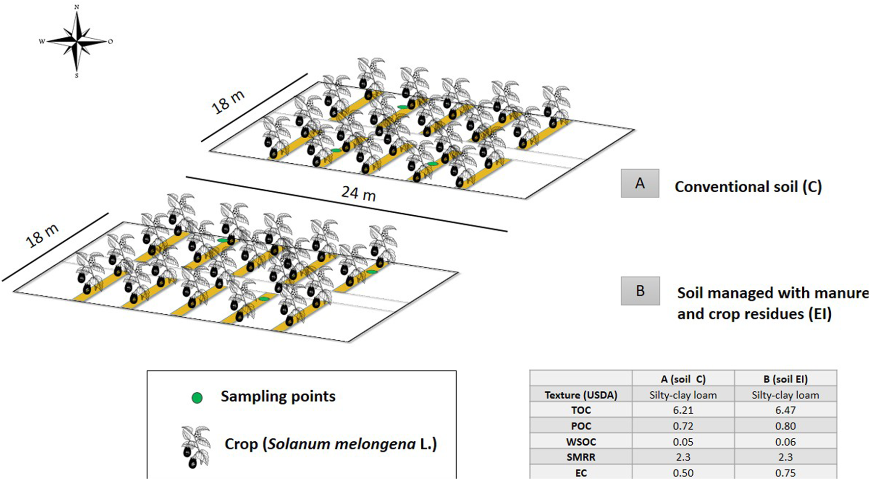 Diagram showing two plots measuring eighteen by twenty-four meters, labeled A and B. Plot A represents conventional soil, and Plot B represents soil managed with manure and crop residues. Both plots feature crops (Solanum melongena L.) with marked sampling points. A data table compares the USDA soil texture, total organic carbon, particulate organic carbon, water-soluble organic carbon, soil microbial respiration rate, and electrical conductivity for both plots, indicating slight variations between them. A compass rose indicates orientation.