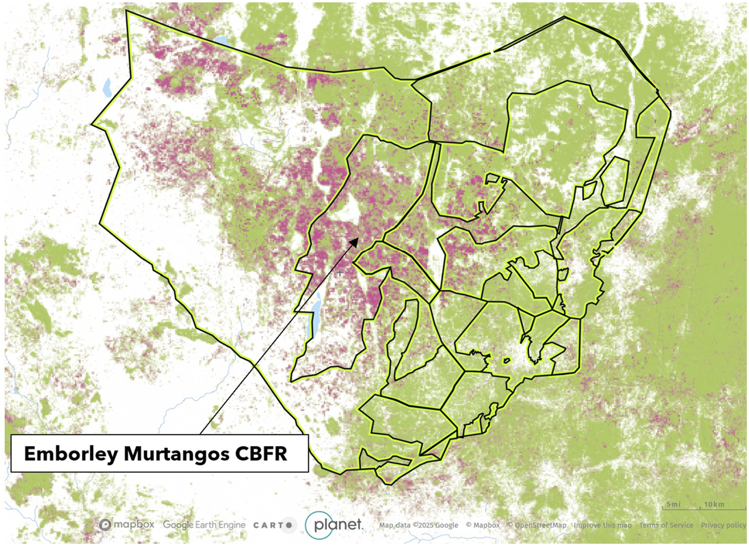 Map highlighting Emborley Murtangos Community-Based Forest Reserve (CBFR) with outlined sections. Areas are colored in shades of green and pink, indicating Tree cover and tree cover loss respectively. Logos in the bottom corners represent map data sources: Mapbox, Google Earth Engine, CARTO, Planet, and OpenStreetMap. Scale indicators show five miles and ten kilometers.
