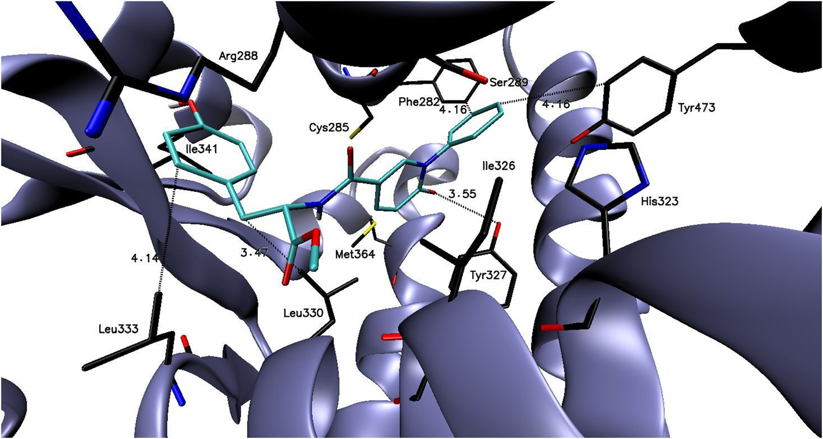 Molecular structure visualization showing a 3D model of protein interactions. Helices and loops are depicted in purple, with labeled amino acids in black: Arg288, Ser289, Ile341, Leu333, Tyr473, among others. Cyan lines indicate specific bonding or interaction points.