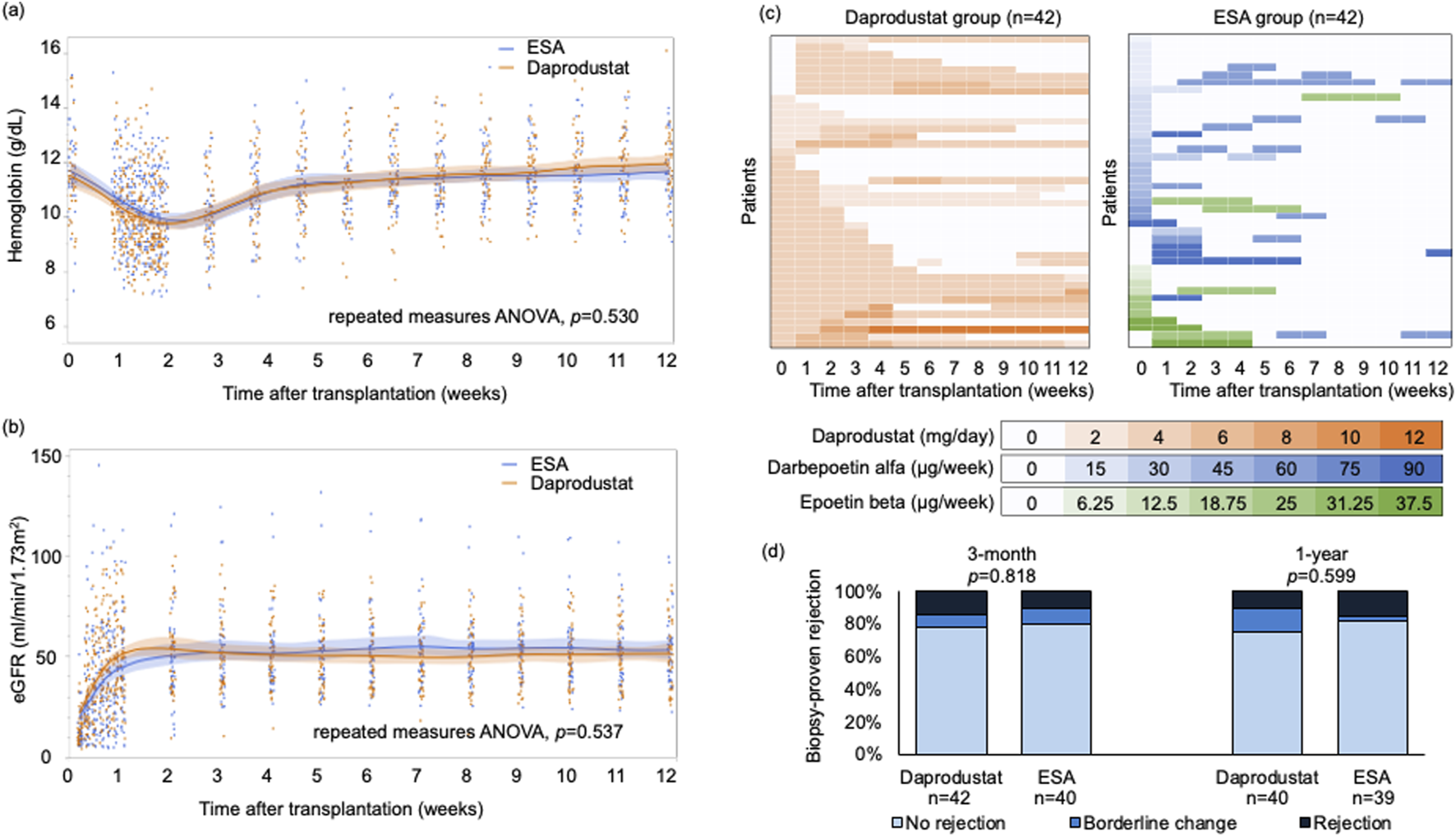 Charts depict the comparison between Daprodustat and ESA groups over time post-transplantation. (a) Hemoglobin levels over 12 weeks show similar trends, with a p-value of 0.530 indicating no significant difference. (b) eGFR measurements also show similar trends with a p-value of 0.537. (c) Heatmaps illustrate medication dosages for each patient group over 12 weeks, with scale legends indicating dosage levels in various colors. (d) Bar charts show biopsy-proven rejection rates at three months and one year, with both groups showing similar rates and non-significant p-values, 0.818 and 0.599 respectively.