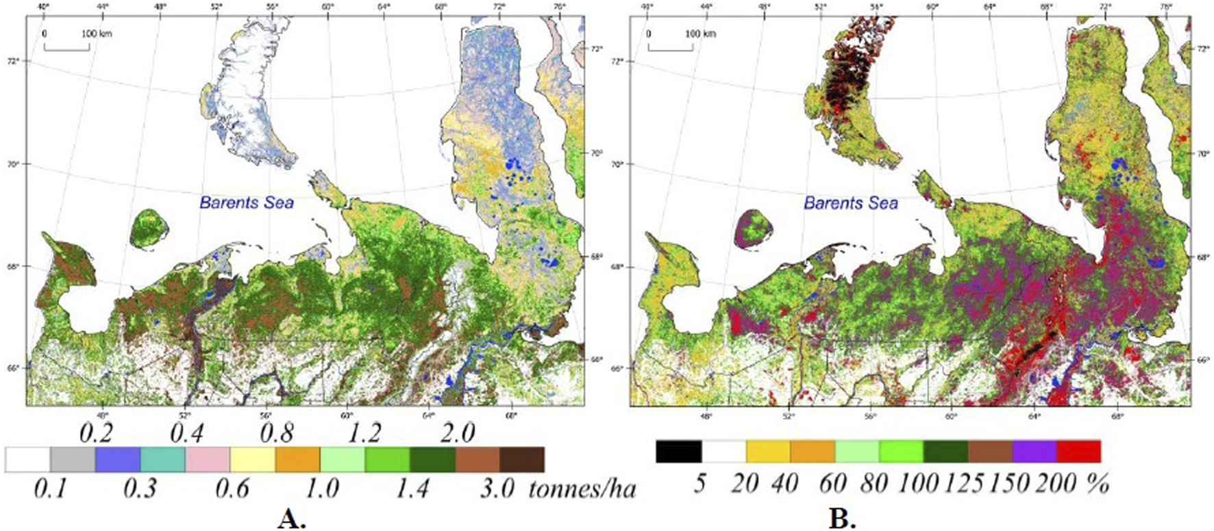 Two adjacent maps show vegetation data in Northern Europe near the Barents Sea. The left map (A) illustrates biomass density in tonnes per hectare, ranging from 0.1 to 3.0, with a color gradient from gray to dark brown. The right map (B) presents percent vegetation cover from 5% to 200%, using colors from black to red. Both maps include geographical landmarks, including islands, framed by latitude and longitude lines.