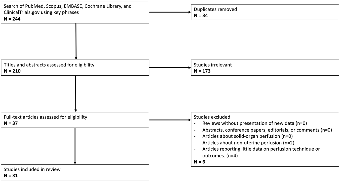 Flowchart showing the selection process for studies. Initial search yielded 244 records; 34 were duplicates. 210 titles and abstracts were screened, 173 were irrelevant. 37 full-text articles were assessed, with 6 excluded due to criteria such as lack of new data or focus on non-uterine perfusion. 31 studies were included in the review.
