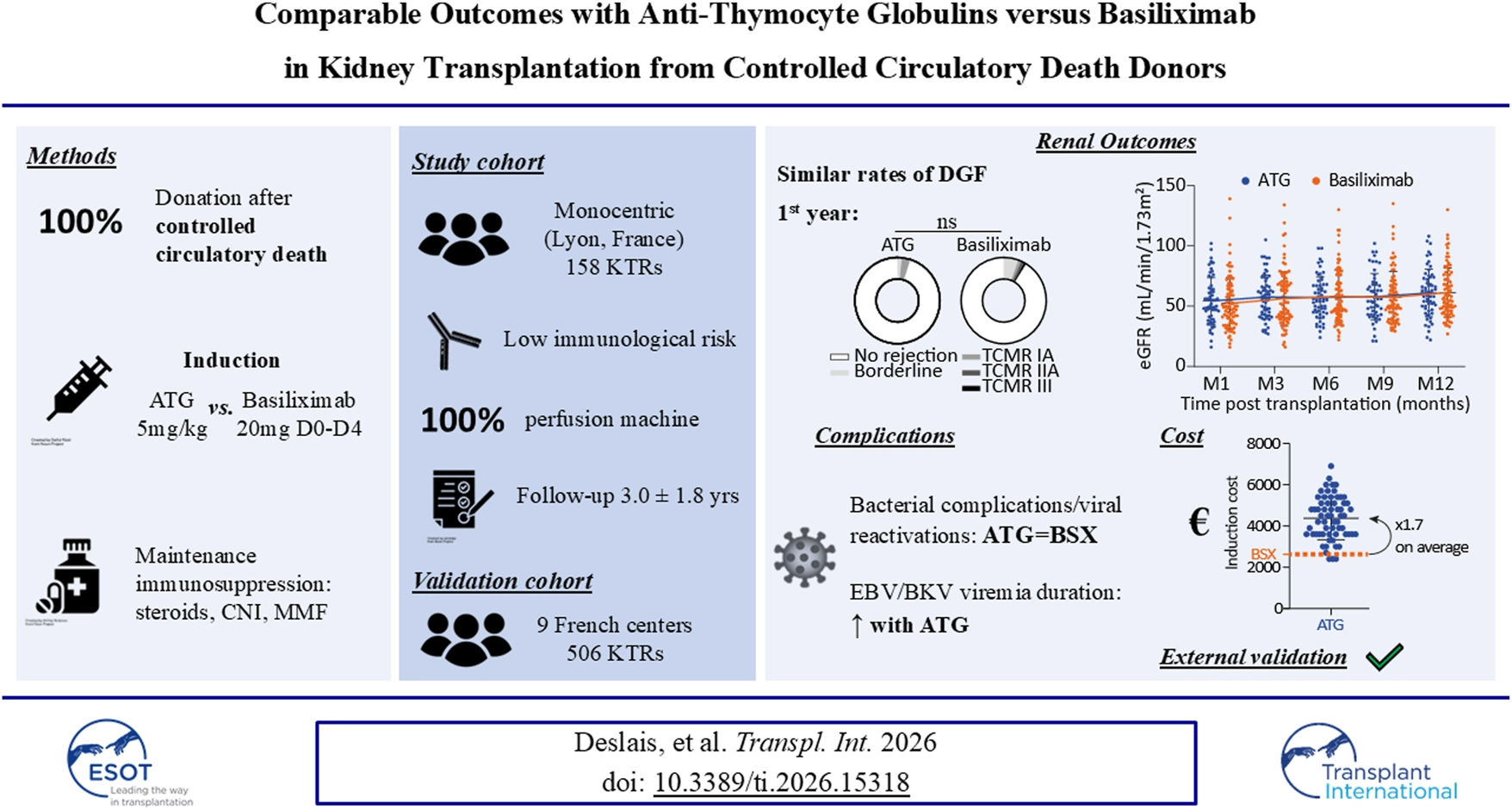 Infographic comparing outcomes of anti-thymocyte globulins (ATG) versus basiliximab (BSX) in kidney transplants from controlled circulatory death donors, summarizing methods, study cohort, renal outcomes, costs, complications, and external validation. Both groups had similar rates of delayed graft function and renal outcomes over 12 months, while ATG incurred higher induction costs and longer EBV/BKV viremia durations, with external validation noted.