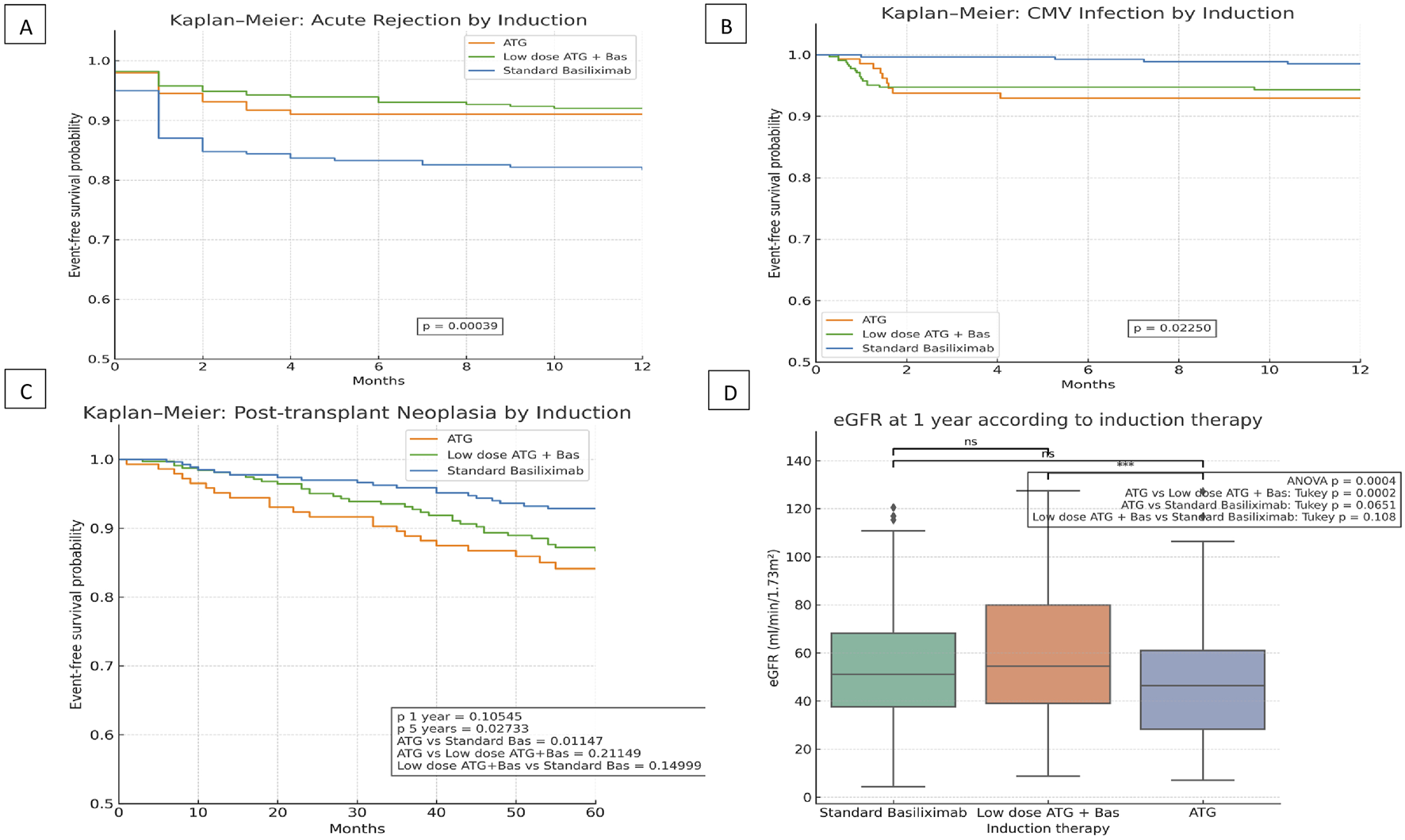 Chart set showing various analyses related to induction therapy. A: Kaplan-Meier curve for acute rejection, with ATG showing lower event-free survival. B: Kaplan-Meier curve for CMV infection, similarly depicting variations among therapies. C: Kaplan-Meier curve for post-transplant neoplasia, with survival differences. D: Box plot of eGFR at 1 year, indicating significant differences between therapies, with statistical values noted.