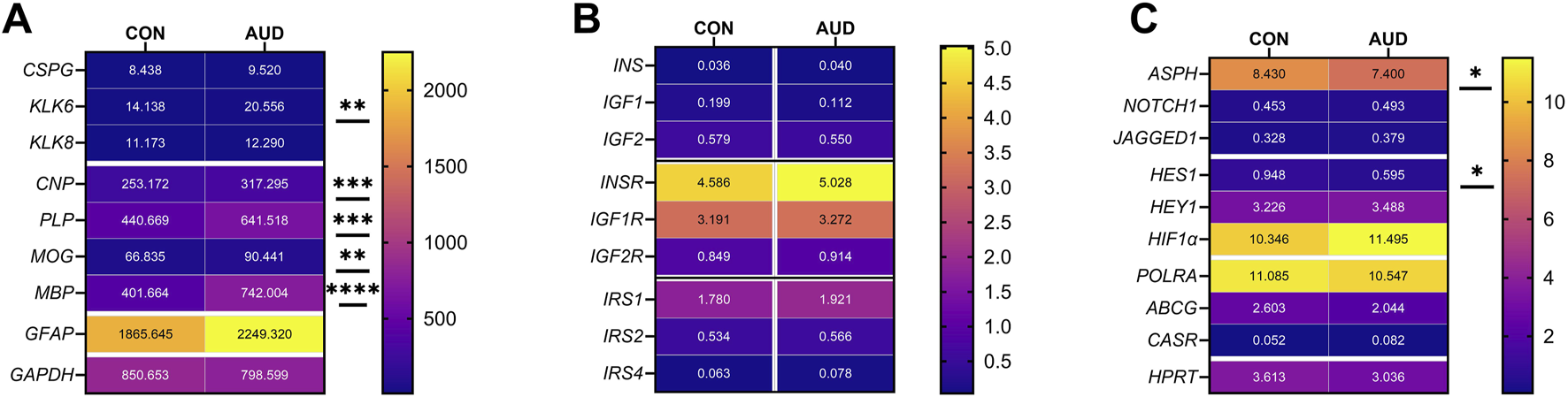 Heatmaps summarize the differences in gene expression measured between normal (CON) and AUD cerebella. (A) corresponds to the effects of AUD on oligodendrocyte genes. (B) corresponds to AUD's effects on genes that regulate insulin metabolism in the brain. (C) illustrates the effects of AUD on Notch pathway proteins. All 3 sets of genes have critical regulatory roles in generating and maintaining myelin in the brain. The findings suggest that the primary issues are associated with the functions of oligodendrocytes and the Notch pathway, rather than insulin-regulated systems. (*p≤0.05; p<0.01; p<0.001; ***p<0.0001)