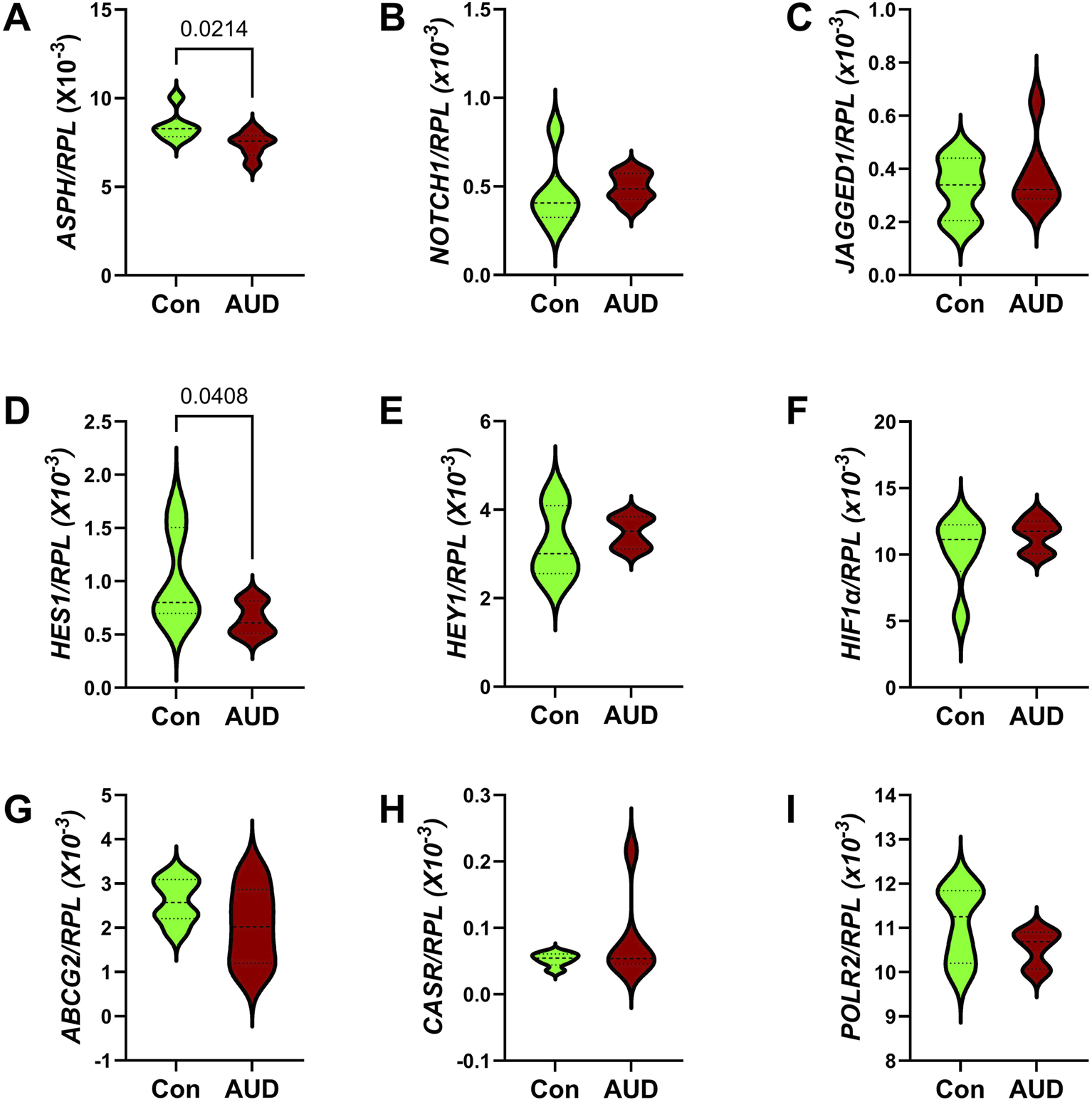 This study examines the effects of AUD on the Notch pathway in the brain. Notably, AUD significantly reduced the expression of the ASPH gene, a key regulator of Notch, and correspondingly inhibited HES1, a major transcription factor regulated by Notch. This finding highlights the likely role of alcohol’s inhibitory effects on Notch in mediating white matter demyelination in AUD.