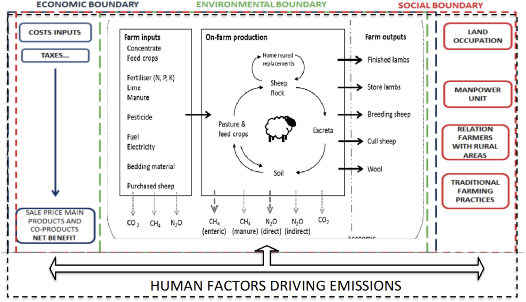 Diagram illustrating the flow of inputs and outputs in sheep farming. It highlights economic, environmental, and social boundaries. Farm inputs include concentrates and fertilizers, leading to methane and nitrous oxide emissions. On-farm production shows a cycle involving sheep, pasture, and soil. Farm outputs consist of finished lambs, wool, and cull sheep. Social factors noted include land occupation and traditional farming practices, while economic aspects cover costs and net benefits. Arrows indicate processes' outputs and emissions, emphasizing human factors driving emissions.