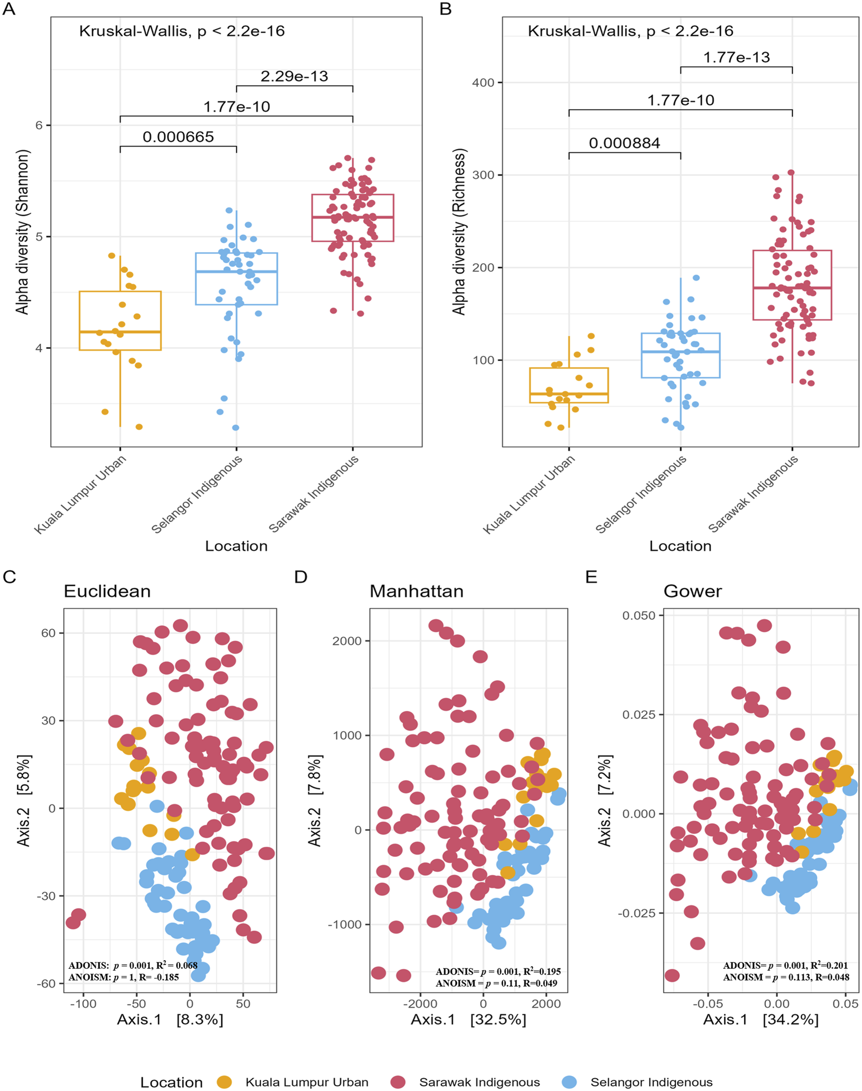 Box plots and scatter plots comparing alpha diversity and location. Panels A and B show box plots of alpha diversity (Shannon and Richness) for Kuala Lumpur Urban, Selangor Indigenous, and Sarawak Indigenous locations with significant Kruskal-Wallis p-values. Panels C, D, and E illustrate scatter plots using Euclidean, Manhattan, and Gower metrics with ADONIS and ANOSIM values, showing clustering of points by location.