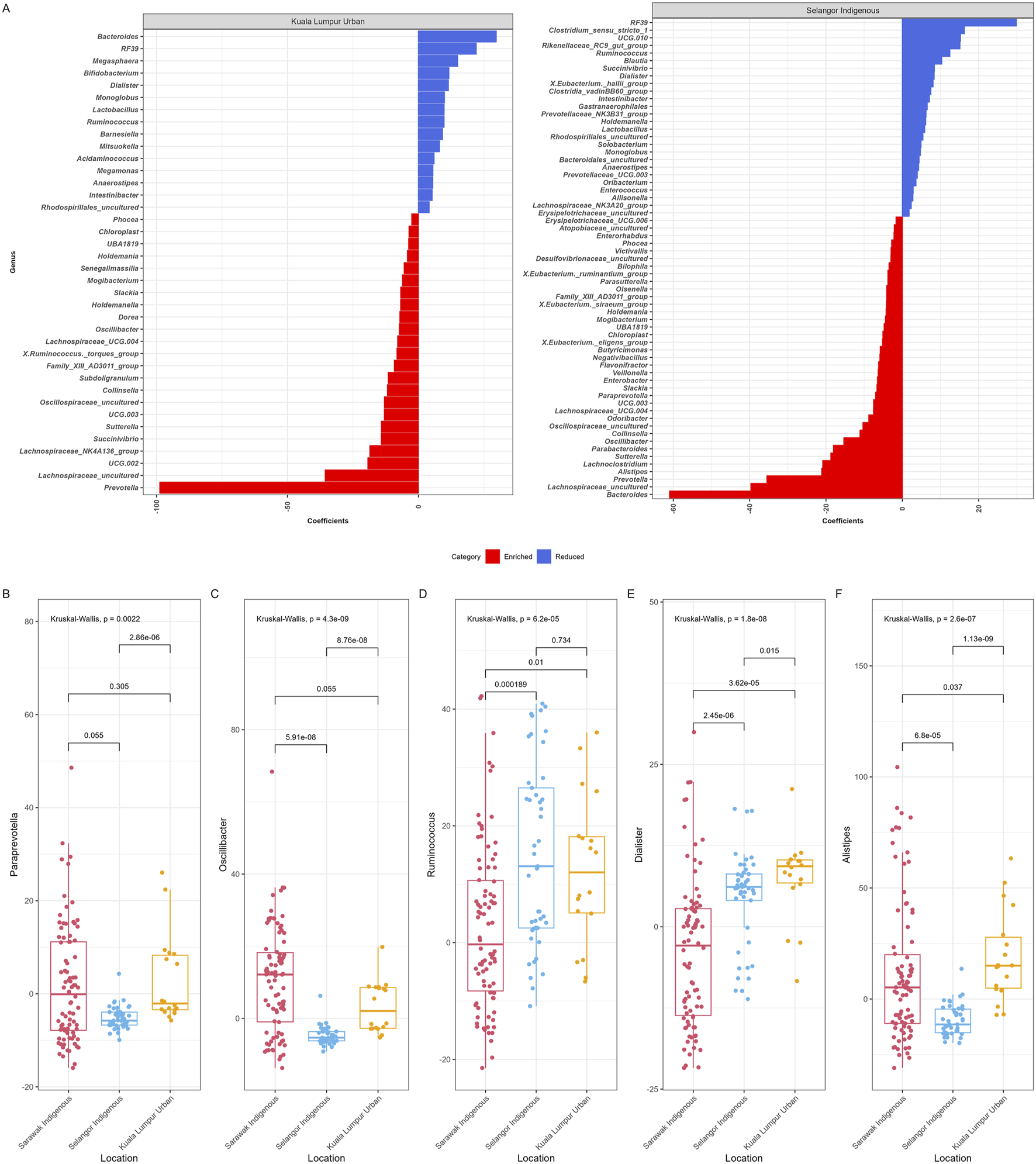 Two charts compare bacterial genera between Kuala Lumpur Urban and Selangor Indigenous areas. The left chart shows categories enriched and reduced, while the right shows Selangor Indigenous enriched and reduced categories. Below are six box plots labeled B to F, detailing the distribution of bacterial taxa across different locations with statistical significance indicated by Kruskal-Wallis test results.