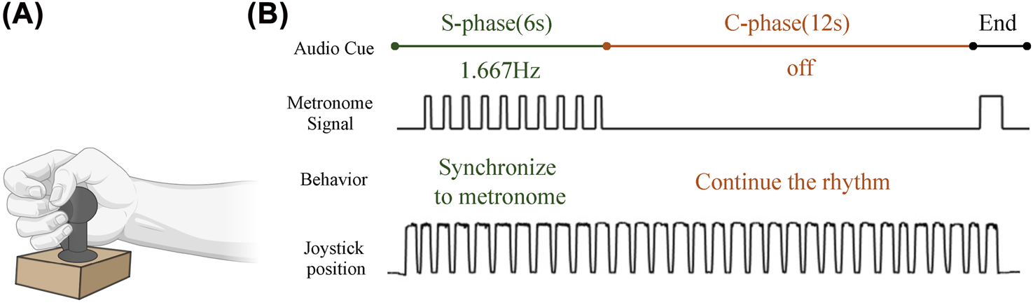 Illustration labeled (A) and (B). (A) depicts a hand holding a joystick. (B) shows a timeline with two phases: S-phase for 6 seconds with audio cue at 1.667 Hz, and C-phase for 12 seconds with audio off. Below, metronome signal and joystick position graphs demonstrate synchronization in S-phase and rhythm continuation in C-phase.