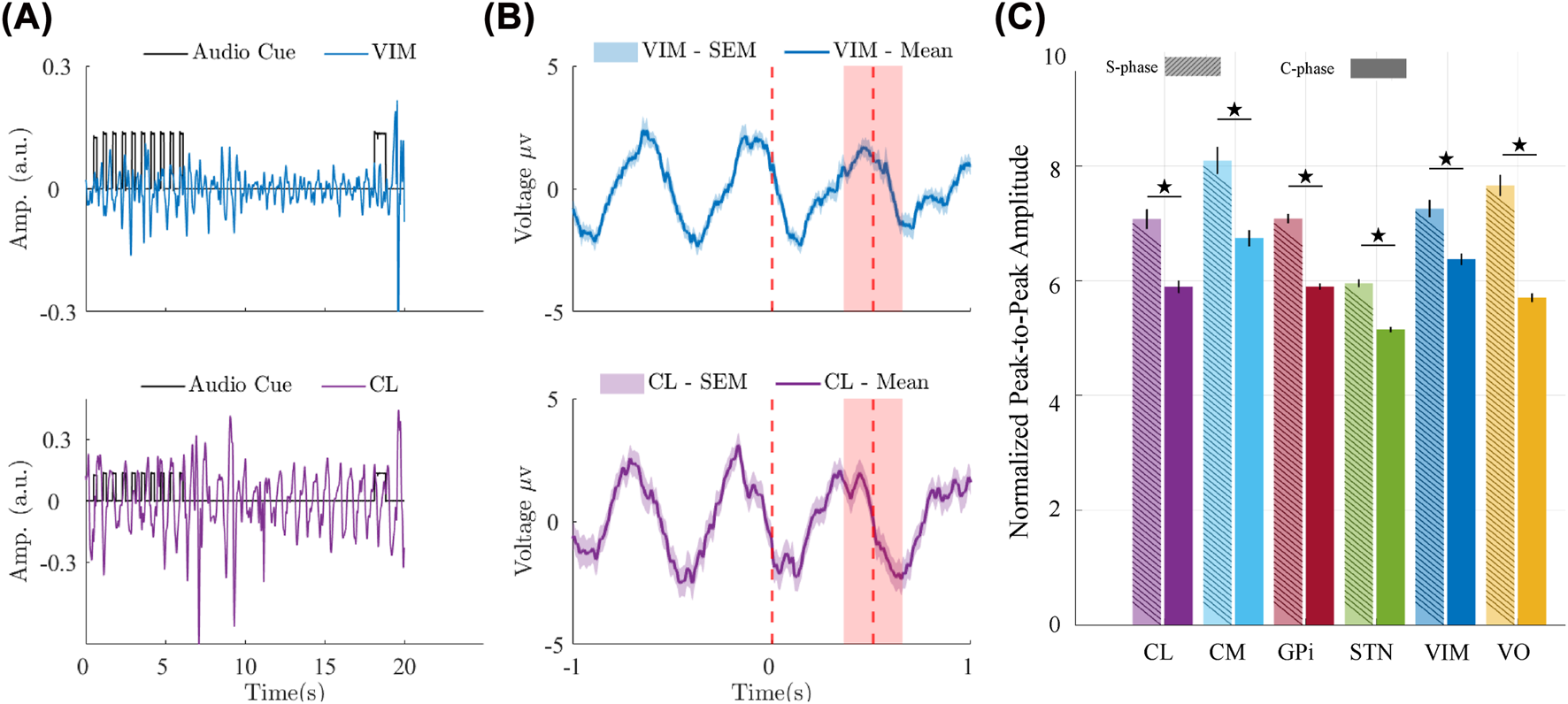 Panel (A) shows two line graphs with amplitude versus time for audio cues, VIM in blue, and CL in purple. Panel (B) presents two graphs of voltage over time with shaded areas representing SEM. VIM is shown in blue and CL in purple. Vertical red dashed lines indicate key time points. Panel (C) is a bar graph comparing normalized peak-to-peak amplitudes for various conditions (CL, CM, GPi, STN, VIM, VO) across S-phase and C-phase, marked with significant differences by stars.