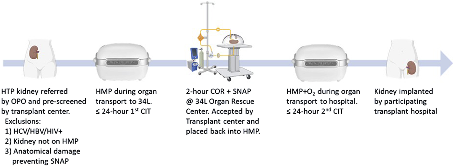 Flowchart depicting the process of handling a Human Transplantable Kidney. Steps include referral by OPO, hypothermic machine perfusion (HMP) during transport, two-hour controlled oxygenated rewarming (COR) plus SNAP at the organ rescue center, HMP with oxygen during transport to the hospital, and final implantation. Exclusions: HCV, HBV, HIV positivity, non-HMP kidneys, and anatomical damage preventing SNAP.