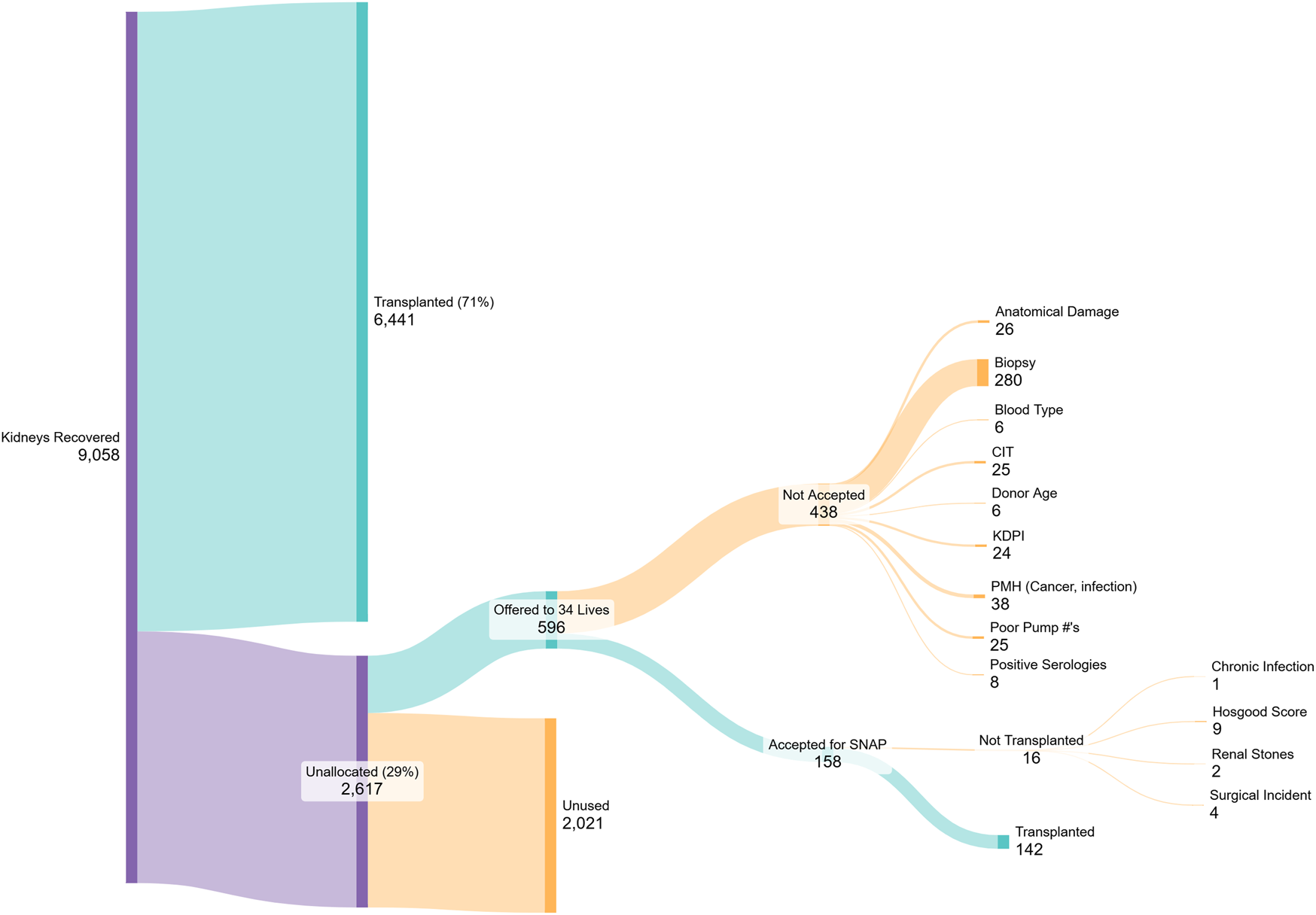 Flow diagram illustrating the distribution of 9,058 recovered kidneys. Seventy-one percent (6,441) were transplanted, while 29 percent (2,617) were unallocated. Of those unallocated, 438 were not accepted for various reasons such as biopsy results (280) and past medical history (38). Of the remaining, some were accepted for specific programs, but 158 were not transplanted due to factors like chronic infection (1) or surgical incidents (4).