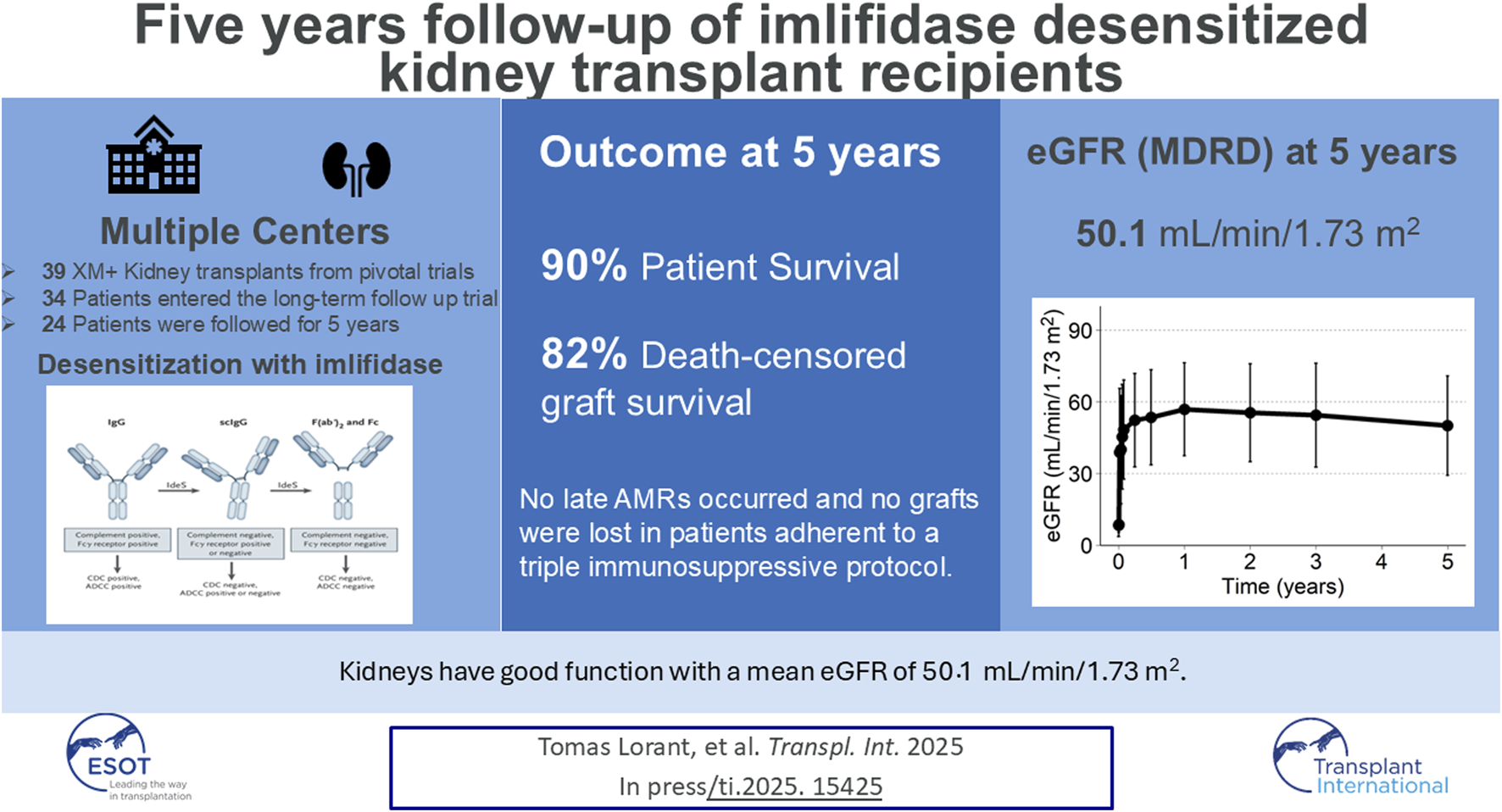 Five-year follow-up of kidney transplant recipients desensitized with imlifidase. Multiple centers conducted 39 transplants; 24 patients were followed for five years. Outcomes include 90% patient survival, 82% death-censored graft survival, and an eGFR of 50.1 mL/min/1.73 m². No late AMRs or graft losses occurred. The graph shows stable eGFR levels over five years, measured in mL/min/1.73 m².