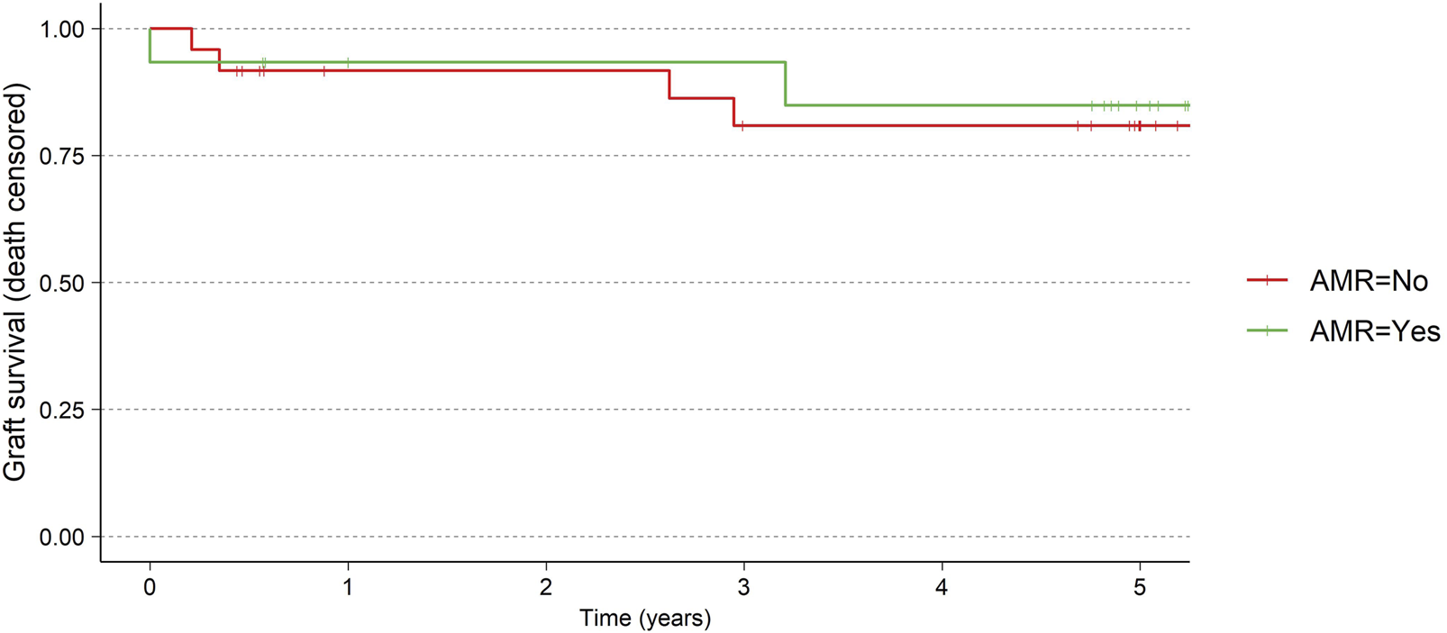 Graft survival for AMR vs no-AMR.