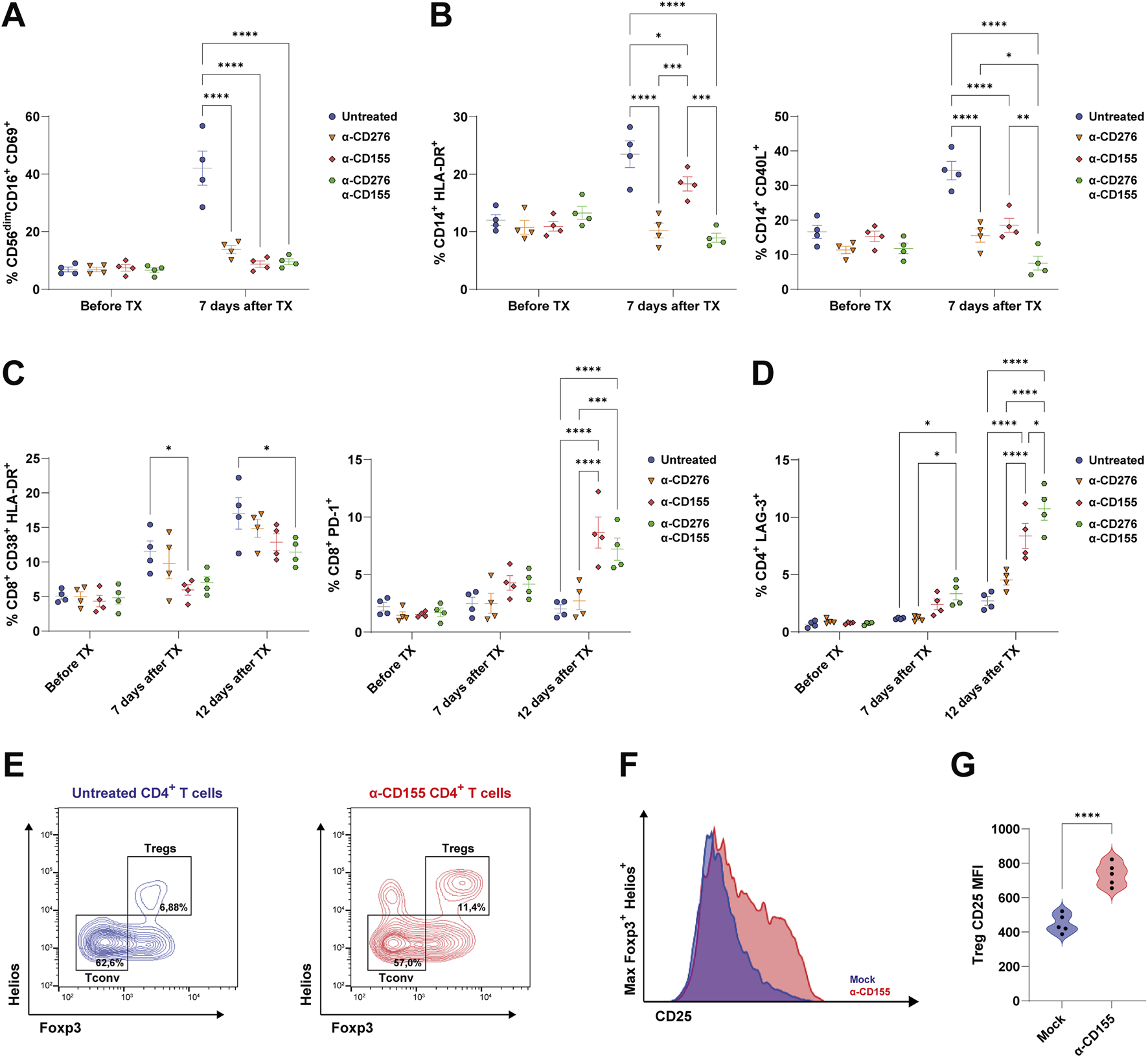 Graphs and charts illustrating immunological data, comparing percentages of immune cell markers before and after treatment with different antibodies. Panel A shows dot plots indicating the frequency of activated NK cells (CD56⁺CD16⁺CD69⁺) in peripheral blood before and 7 days after transplantation. Panel B displays dot plots showing the frequency of activated monocytes defined by CD14⁺?HLA-DR⁺ and CD14⁺CD40L⁺ expression at the same timepoints. Panel C presents dot plots for CD8⁺ T cell subsets expressing CD38⁺HLA-DR⁺ or PD-1⁺ before, 7 days, and 12 days post-transplant. Panel D shows the frequency of CD4⁺ T cells expressing LAG-3 across timepoints. Panel E contains dot plots distinguishing Tconv (Foxp3⁻Helios⁻) and Treg (Foxp3⁺Helios⁺) subsets. Panel F displays a flow cytometry histogram for CD25 on Tregs, panel G shows a violin plot represents the mean fluorescence intensity of CD25 expression.
