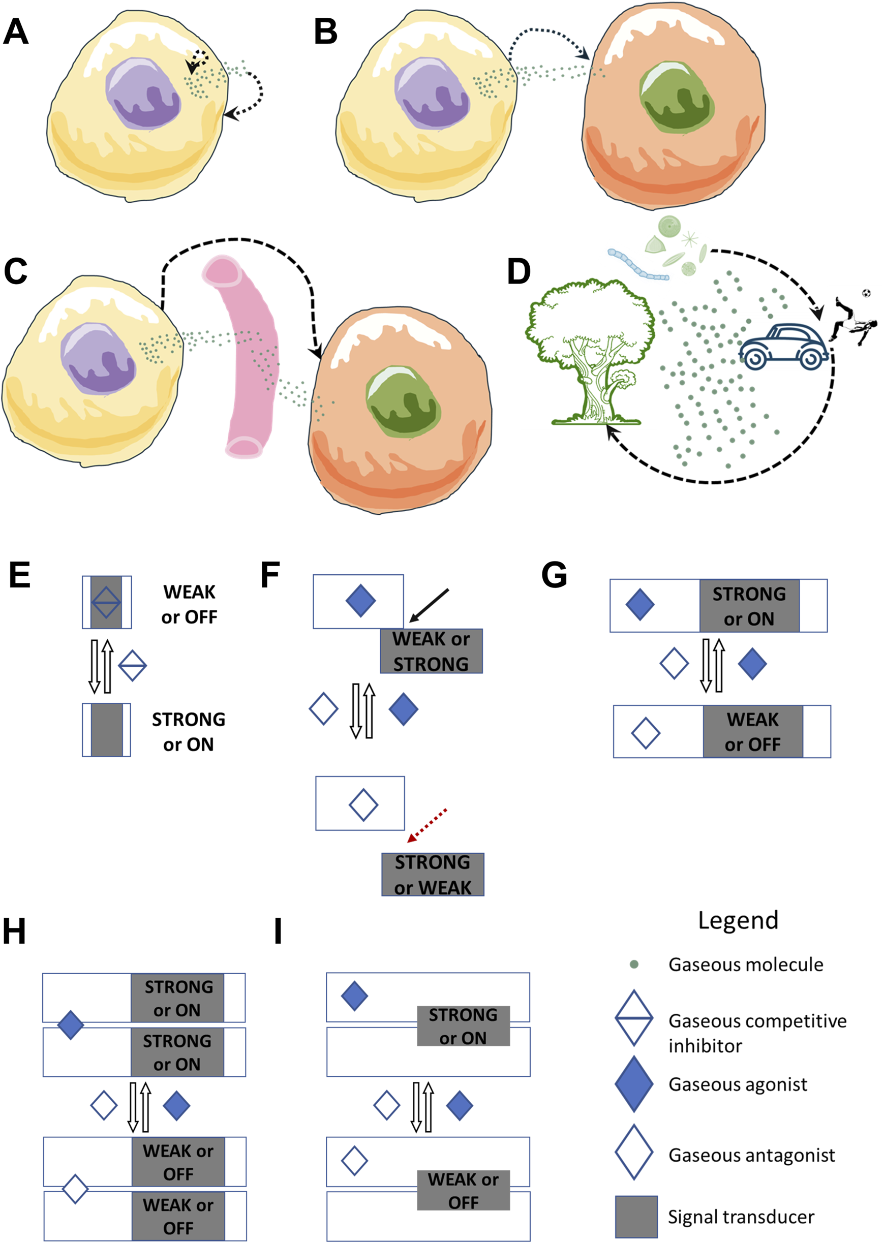 Illustrations depict cellular and environmental signaling mechanisms involving gaseous molecules. Panels A-C show different types of interactions between cells and gaseous molecules. Panel D illustrates environmental gas sources from trees, cars, and factories. Panels E-I represent molecular interactions described using signal transducer diagrams with labels like "weak," "strong," "on," or "off." The legend defines symbols for gaseous molecules, competitive inhibitors, agonists, antagonists, and transducers.