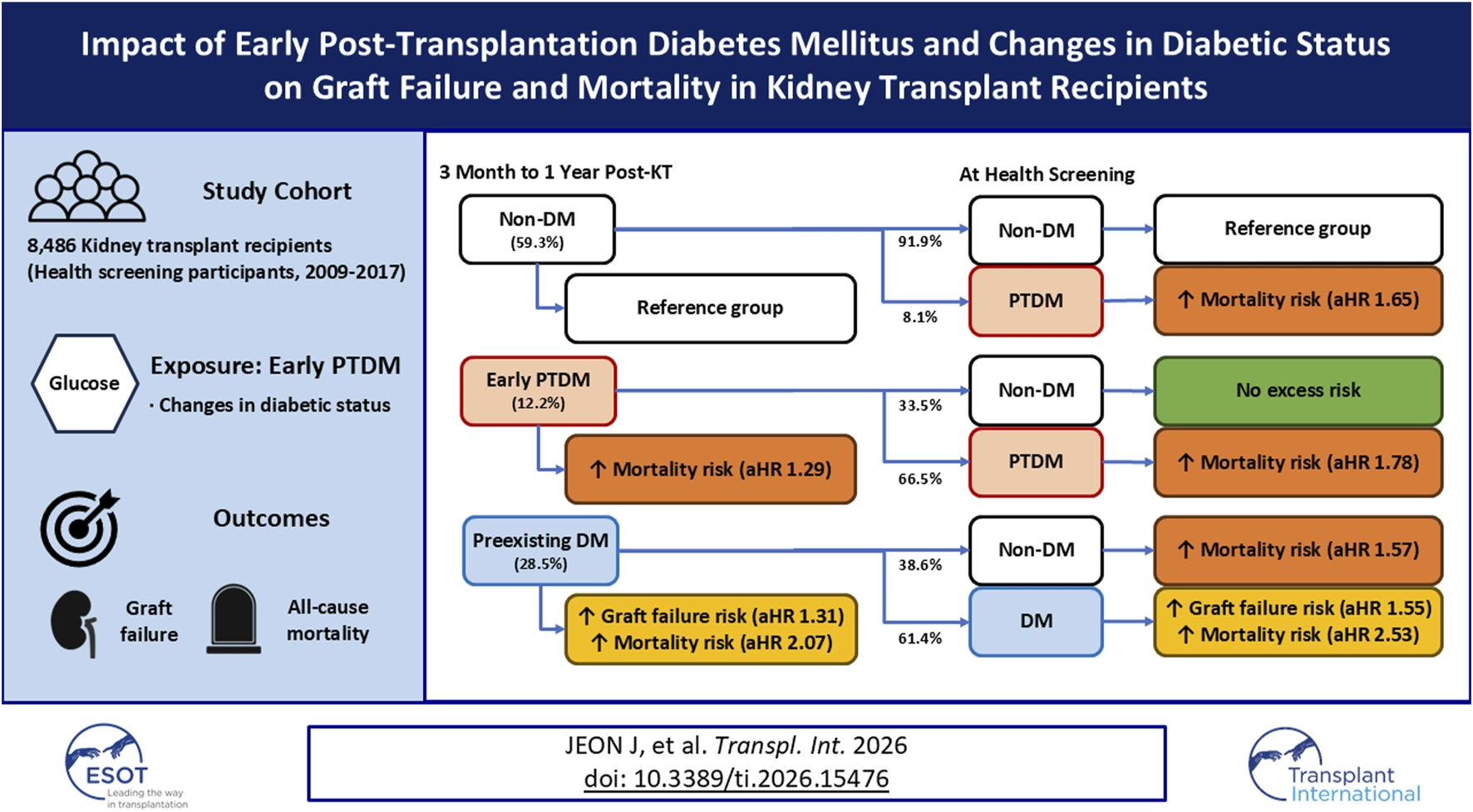 Infographic summarizes a study on 8,486 kidney transplant recipients regarding the impact of early post-transplant diabetes mellitus (PTDM) and changes in diabetic status on graft failure and mortality. Flowchart details groups by diabetic status from three months to one year post-transplant and subsequent outcomes at health screening, indicating increased mortality and graft failure risks primarily in those with persistent or new diabetes compared to non-diabetic reference groups. Outcomes are highlighted with adjusted hazard ratios, with key findings noting elevated risks in early PTDM and preexisting diabetes groups.