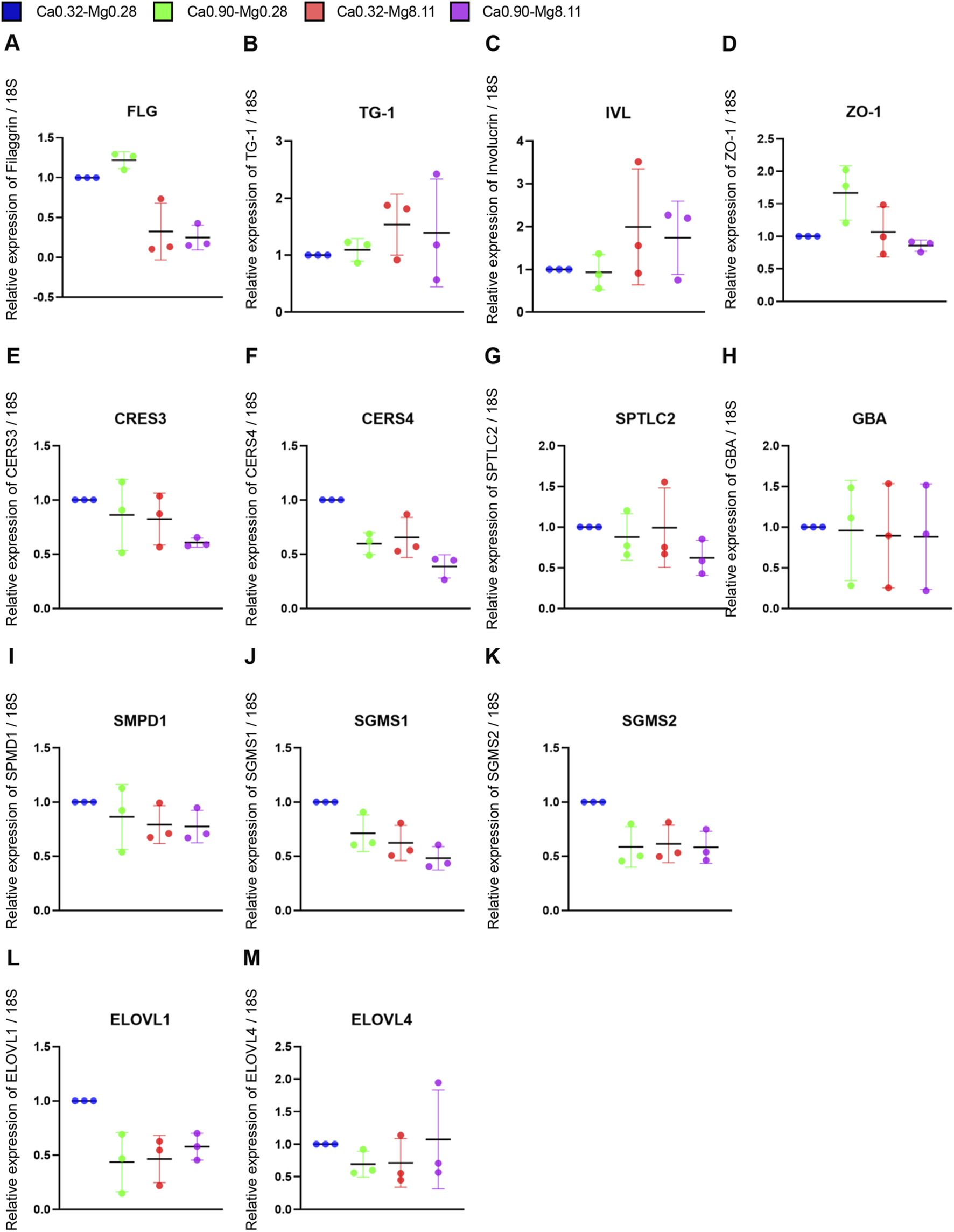 A series of dot plots labeled A to M, displaying relative expression levels of various genes normalized to 18S. Colors represent different treatments: blue (Ca0.32-Mg0.28), green (Ca0.90-Mg0.28), red (Ca0.32-Mg8.11), purple (Ca0.90-Mg8.11). Each plot shows variability in gene expression across treatments with error bars indicating standard deviation.