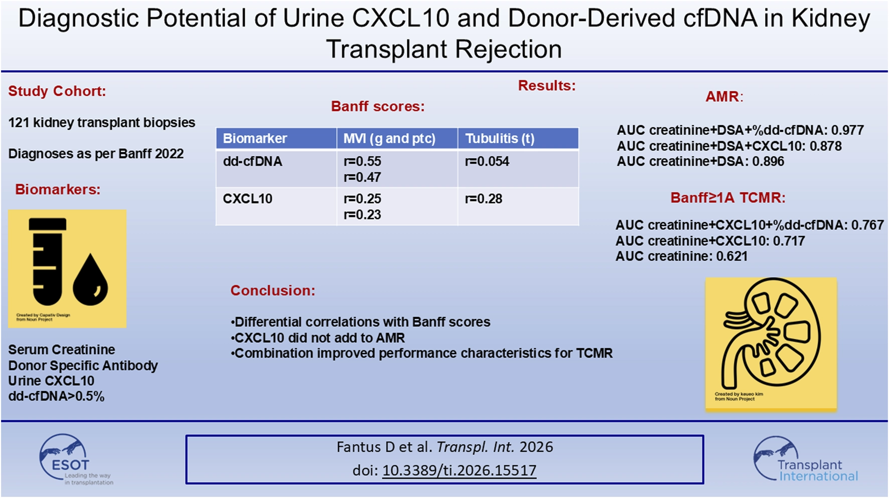 Scientific infographic presenting a summary of a study on urine CXCL10 and donor-derived cfDNA as biomarkers for kidney transplant rejection, including cohort details, biomarker list, Banff score correlations, AMR and TCMR results, and main conclusions. Graphic icons of a test tube, urine drop, and kidney appear, with logos for ESOT and Transplant International.