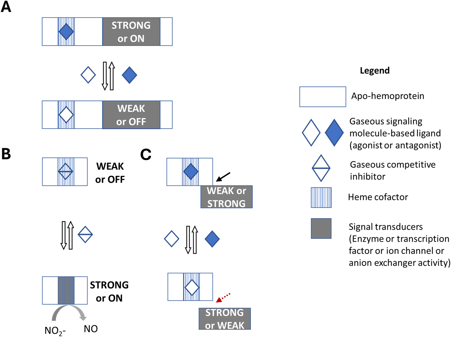 Diagrams illustrating gasoreceptors in various signal transduction systems.