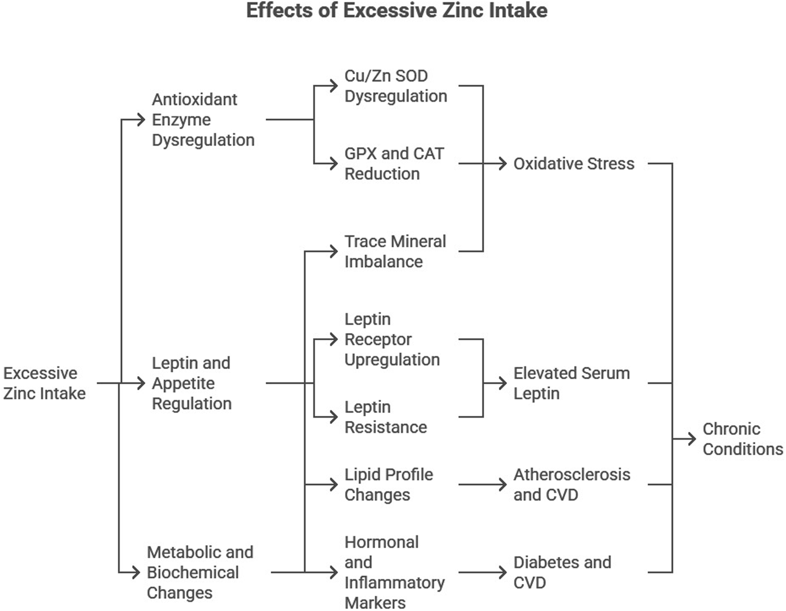 Flowchart showing the effects of excessive zinc intake. It leads to antioxidant enzyme dysregulation, causing oxidative stress. It also affects leptin and appetite regulation, resulting in elevated serum leptin. Metabolic and biochemical changes may occur, contributing to atherosclerosis, diabetes, and other chronic conditions.