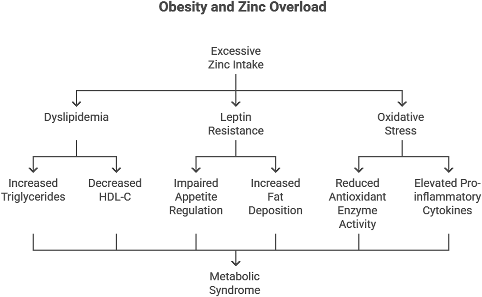 Flowchart illustrating the effects of excessive zinc intake leading to metabolic syndrome. It branches into dyslipidemia, leptin resistance, and oxidative stress. Dyslipidemia causes increased triglycerides and decreased HDL-C. Leptin resistance results in impaired appetite regulation and increased fat deposition. Oxidative stress leads to reduced antioxidant enzyme activity and elevated pro-inflammatory cytokines. All these contribute to metabolic syndrome.