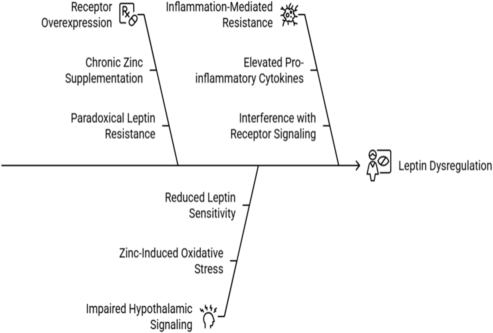 Flowchart illustrating pathways to leptin dysregulation. This figure is a schematic diagram with three pathways showing how zinc overload leads to leptin dysregulation. The upper pathway includes receptor overexpression and chronic zinc supplementation, progressing to paradoxical leptin resistance. The lower pathway shows reduced leptin sensitivity due to zinc-induced oxidative stress and impaired hypothalamic signaling. A third pathway highlights inflammation-mediated resistance with elevated pro-inflammatory cytokines interfering with receptor signaling.