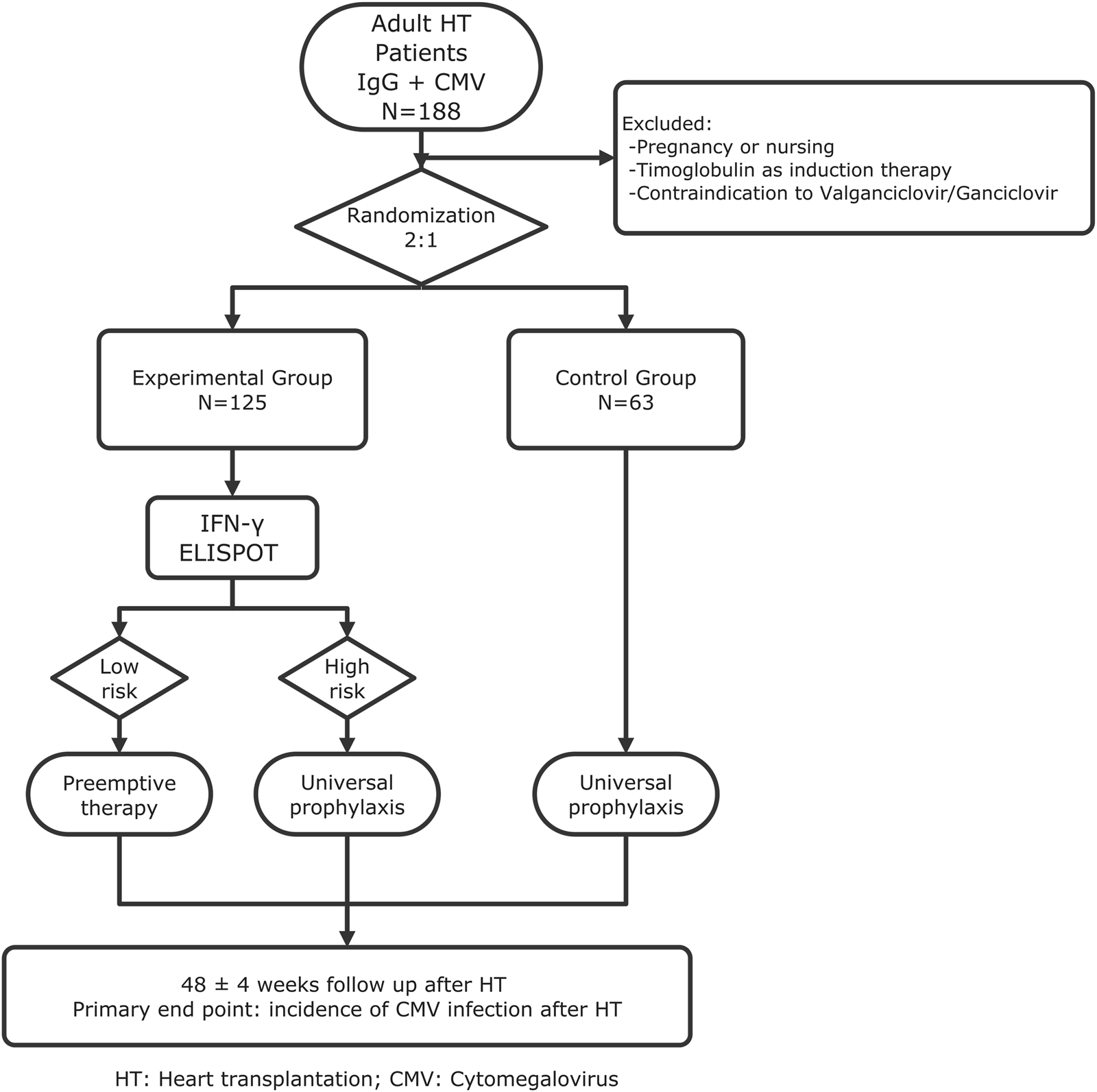 Flowchart describing the ELISPOT-TC trial in adult CMV-seropositive heart transplant recipients. Out of 188 patients, exclusions apply for pregnancy, lactation, administration of thymoglobulin as induction therapy, and contraindications to ganciclovir or valganciclovir. Patients are randomized 2:1 into an experimental group (125) and a control group (63). The experimental group undergoes IFN-gamma ELISPOT testing, dividing patients into low-risk (preemptive therapy) and high-risk (universal prophylaxis) categories. The control group receives universal prophylaxis. The study’s primary endpoint is the incidence of CMV infection 48 ± 4 weeks post-heart transplantation. HT stands for heart transplantation; CMV is cytomegalovirus.
