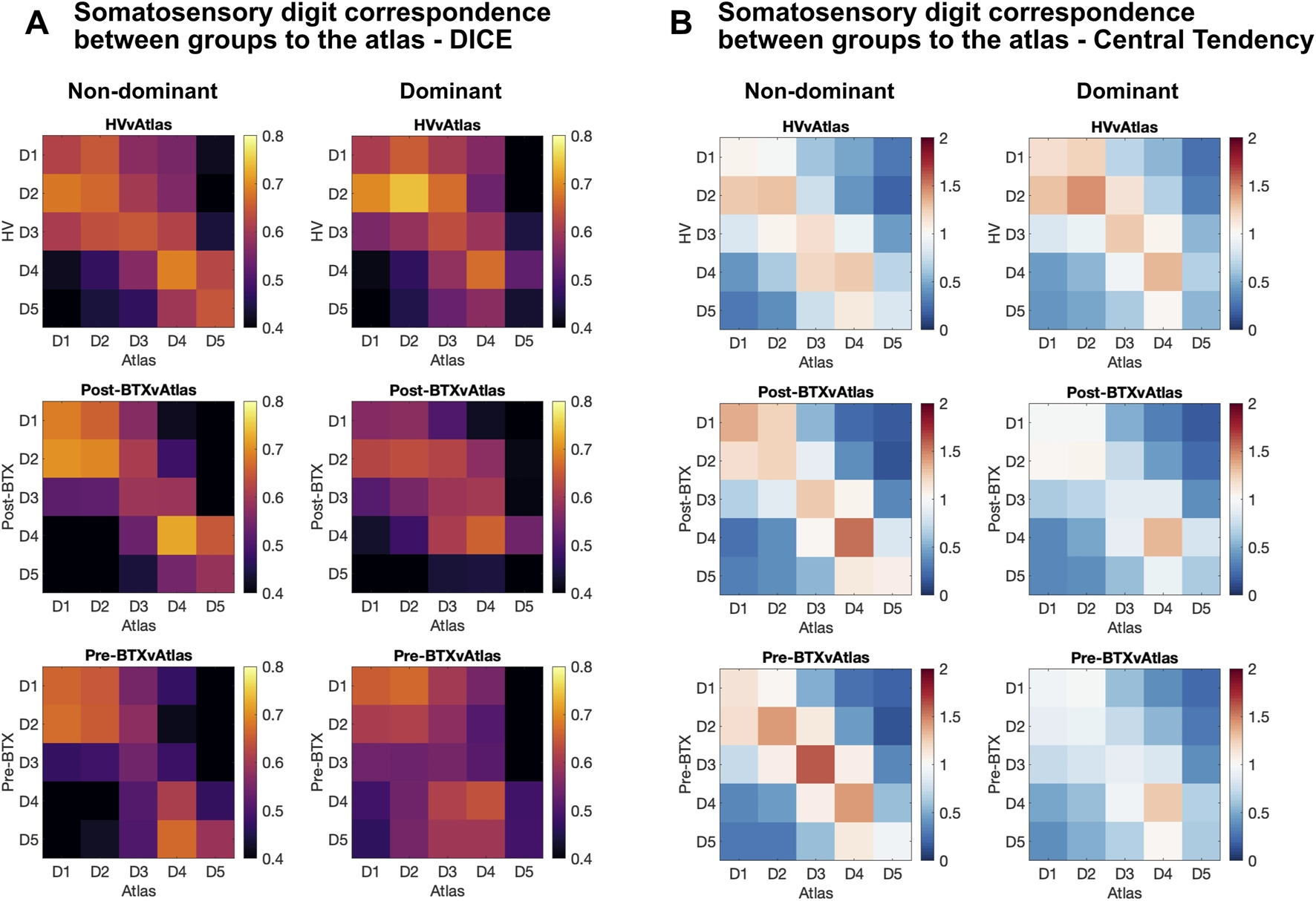 Figure consists of two panels comparing somatosensory digit correspondence across groups with heatmaps for non-dominant and dominant hands. Panel A shows DICE scores using a yellow-to-black color scale for HV, Post-BTX, and Pre-BTX to atlas correspondence, while Panel B shows central tendency values on a blue-red scale. Each panel includes three group conditions (HV, Post-BTX, Pre-BTX) and digit axes labeled D1 to D5.
