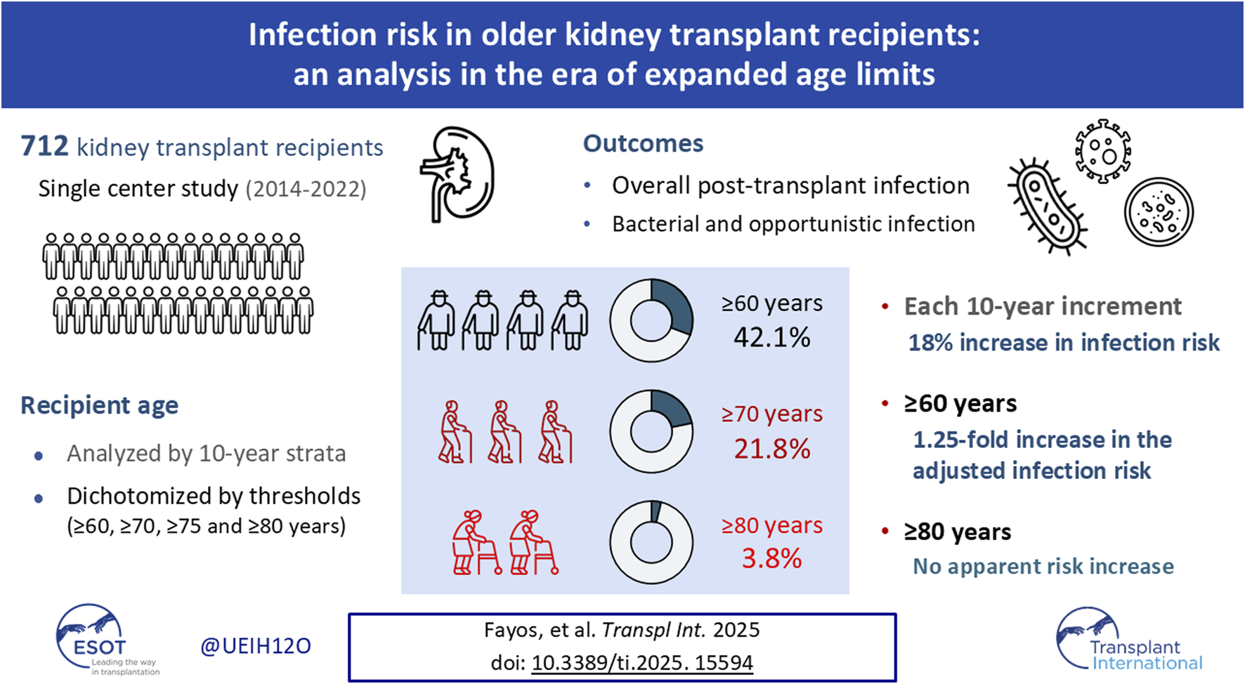 Analysis graphic on infection risk in older kidney transplant recipients. Study data: 712 recipients, 2014-2022, at a single center. Outcomes cover overall infections. Infection risk increases 18% per 10-year age increment; significant increase for those aged sixty years or more but not for those aged eighty years and above. Age groups analyzed: sixty, seventy, seventy-five, and eighty years. Results: forty-two point one percent for age sixty or more, twenty-one point eight percent for age seventy or more, and three point eight percent for age eighty or more. Adjusted infection risk increases one point two five-fold for those aged sixty years or more.