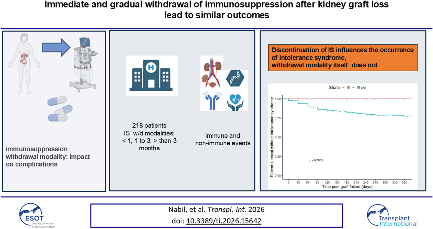 Infographic compares immediate and gradual immunosuppression withdrawal after kidney graft loss. Three panels highlight withdrawal modalities, patient data, immune and non-immune events, and a survival curve showing discontinuation timing impacts intolerance syndrome, not withdrawal approach.