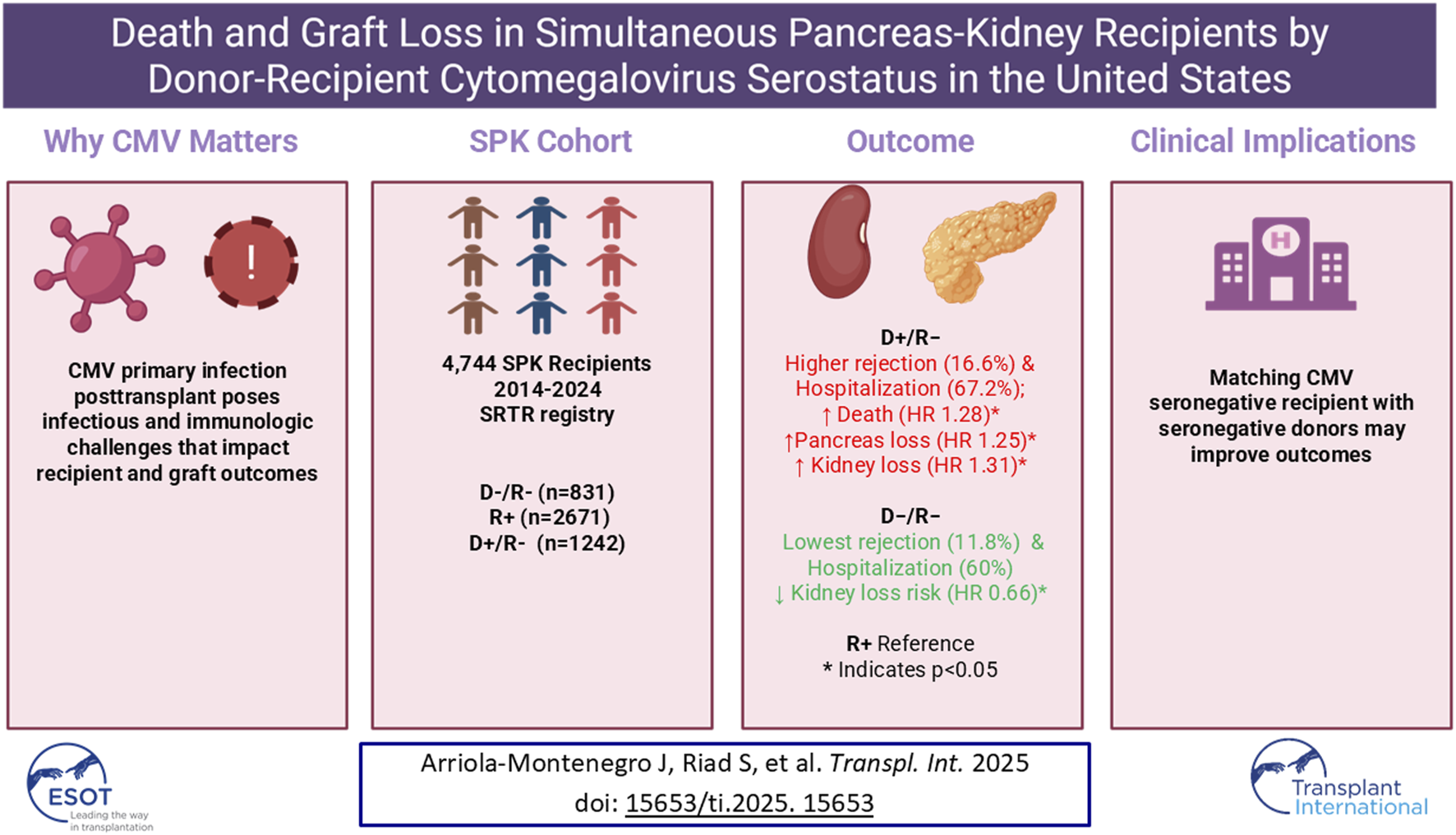 Death and graft loss infographic for simultaneous pancreas-kidney (SPK) recipients examining cytomegalovirus (CMV) serostatus in the US. CMV infection impacts outcomes post-transplant. Data from 4,744 SPK recipients show that CMV-negative recipients with positive donors have higher rejection and hospitalization rates. The study suggests matching CMV-seronegative donors and recipients may improve outcomes. Source: Arriola-Montenegro J, Riad S, et al. in Transpl. Int. 2025.